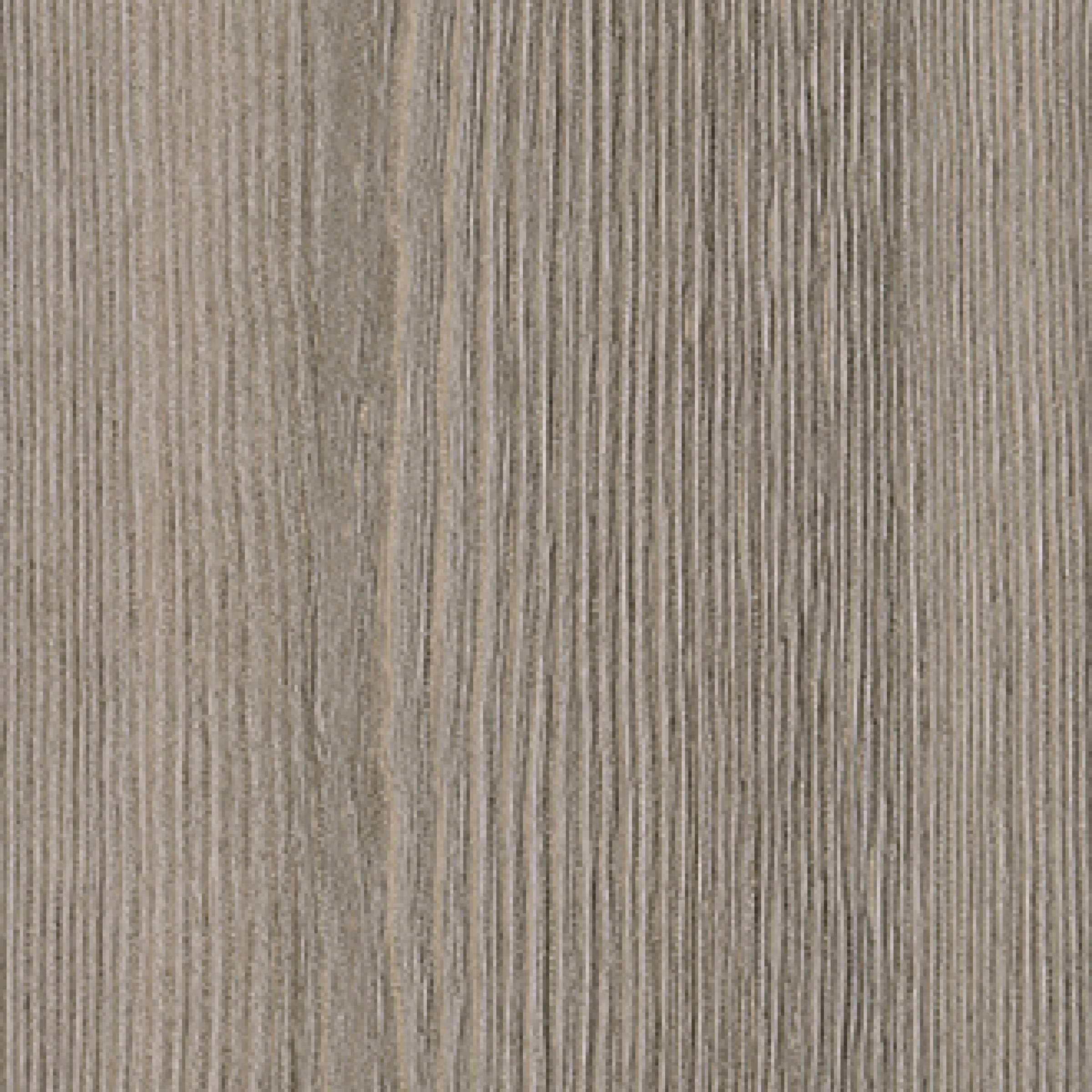 RM 426 82 - Mélèze de Sibérie