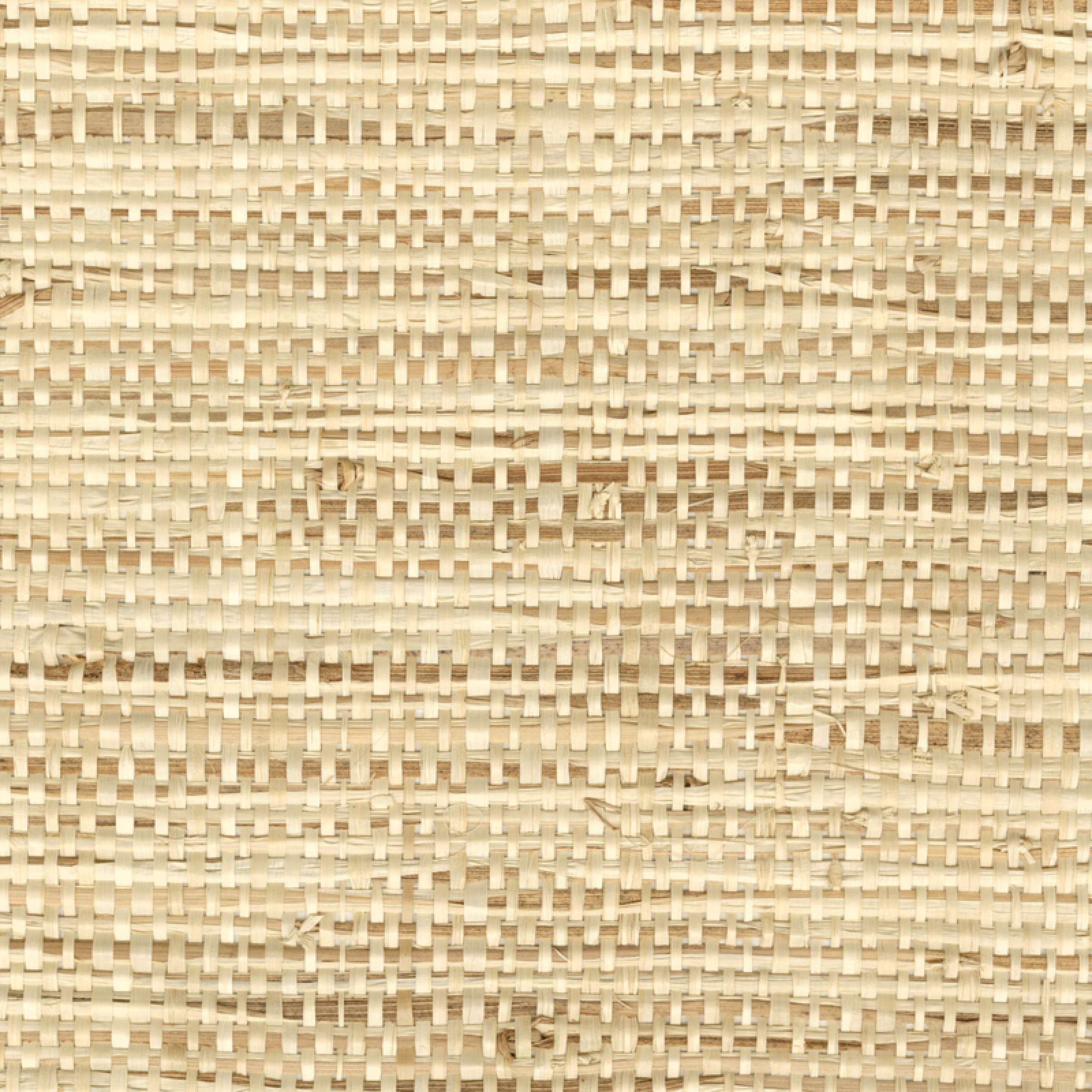 RM 1107 02 - Entrée en matière