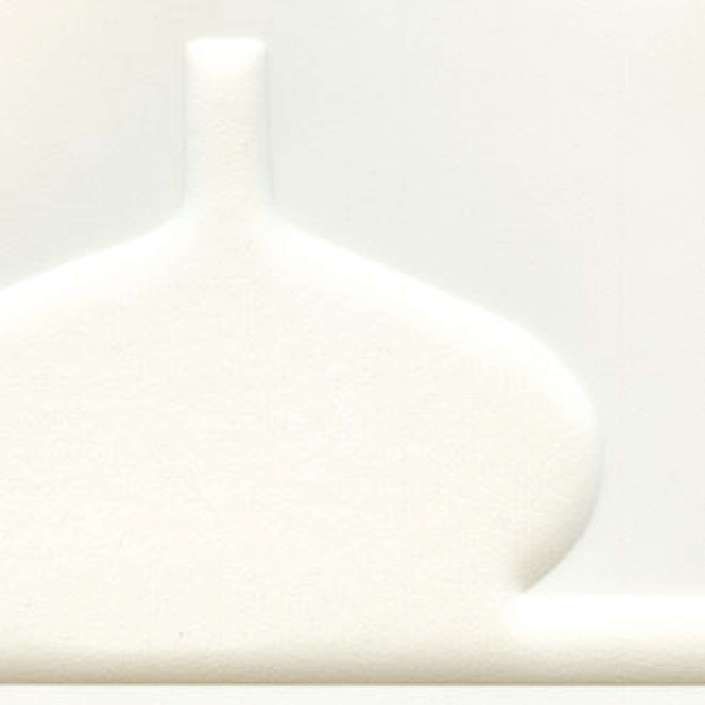 RM 738 02 - Exercer ses voeux