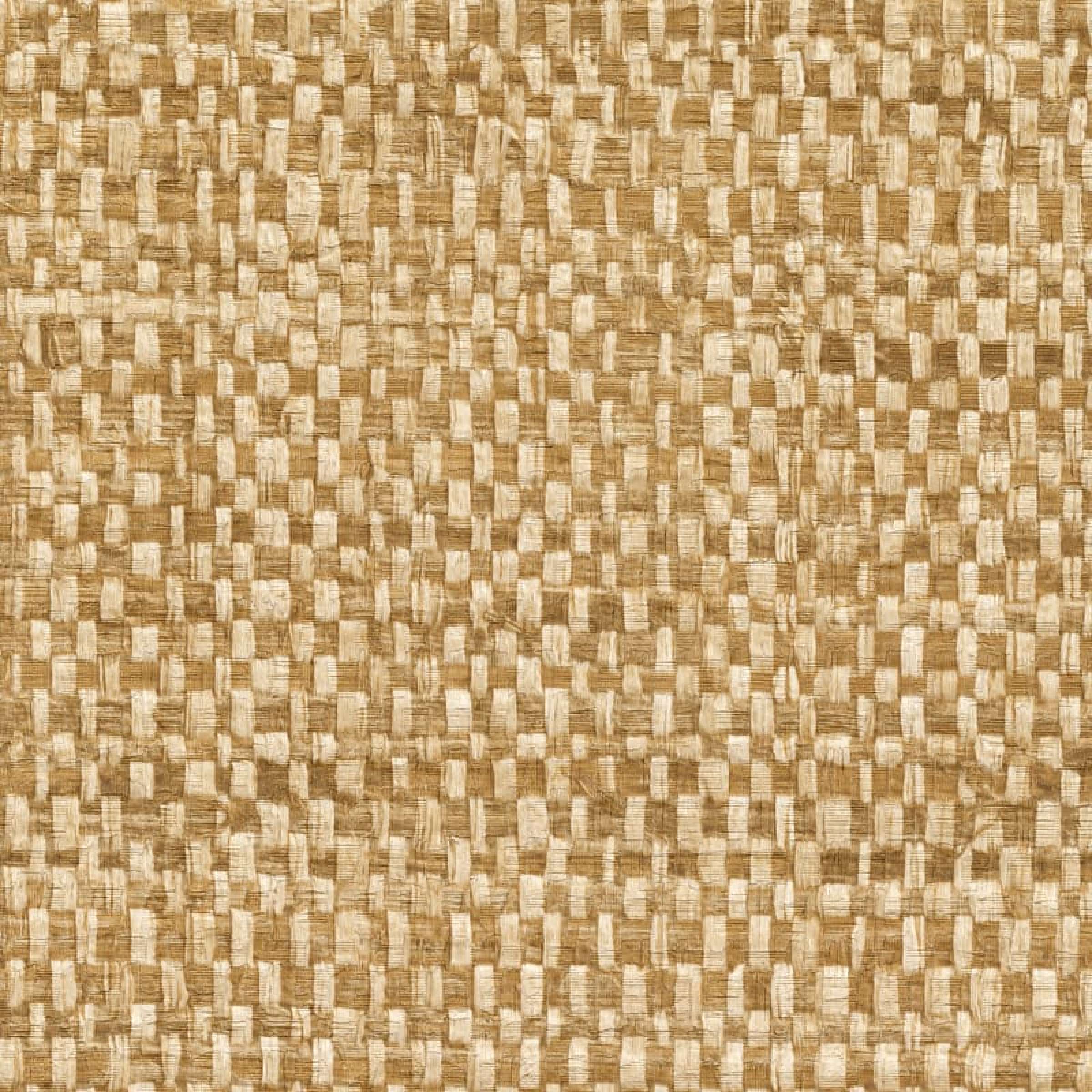 CV 125 02 - Une constance irréprochable