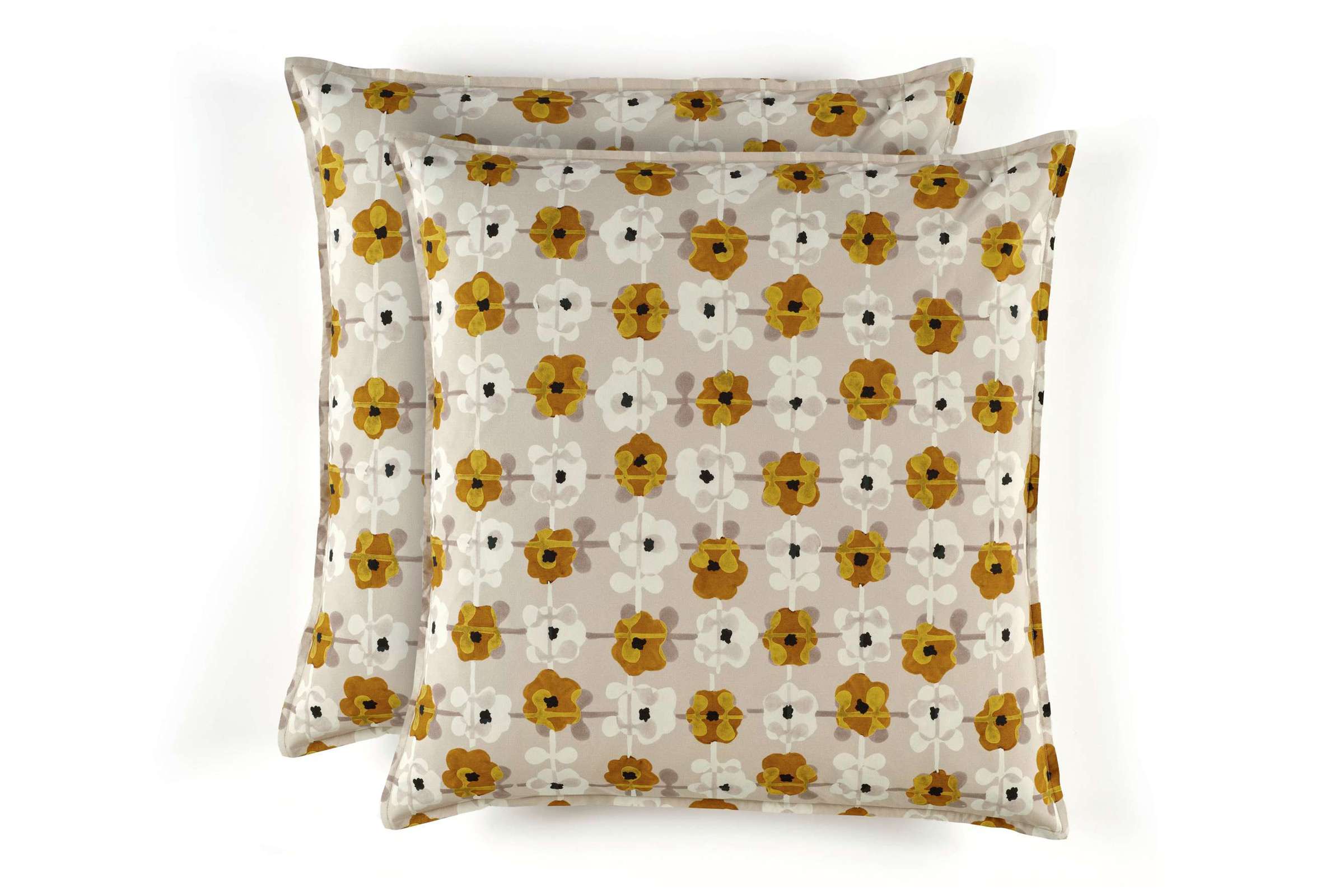 OR 101 25 01 - DAISY Sunny