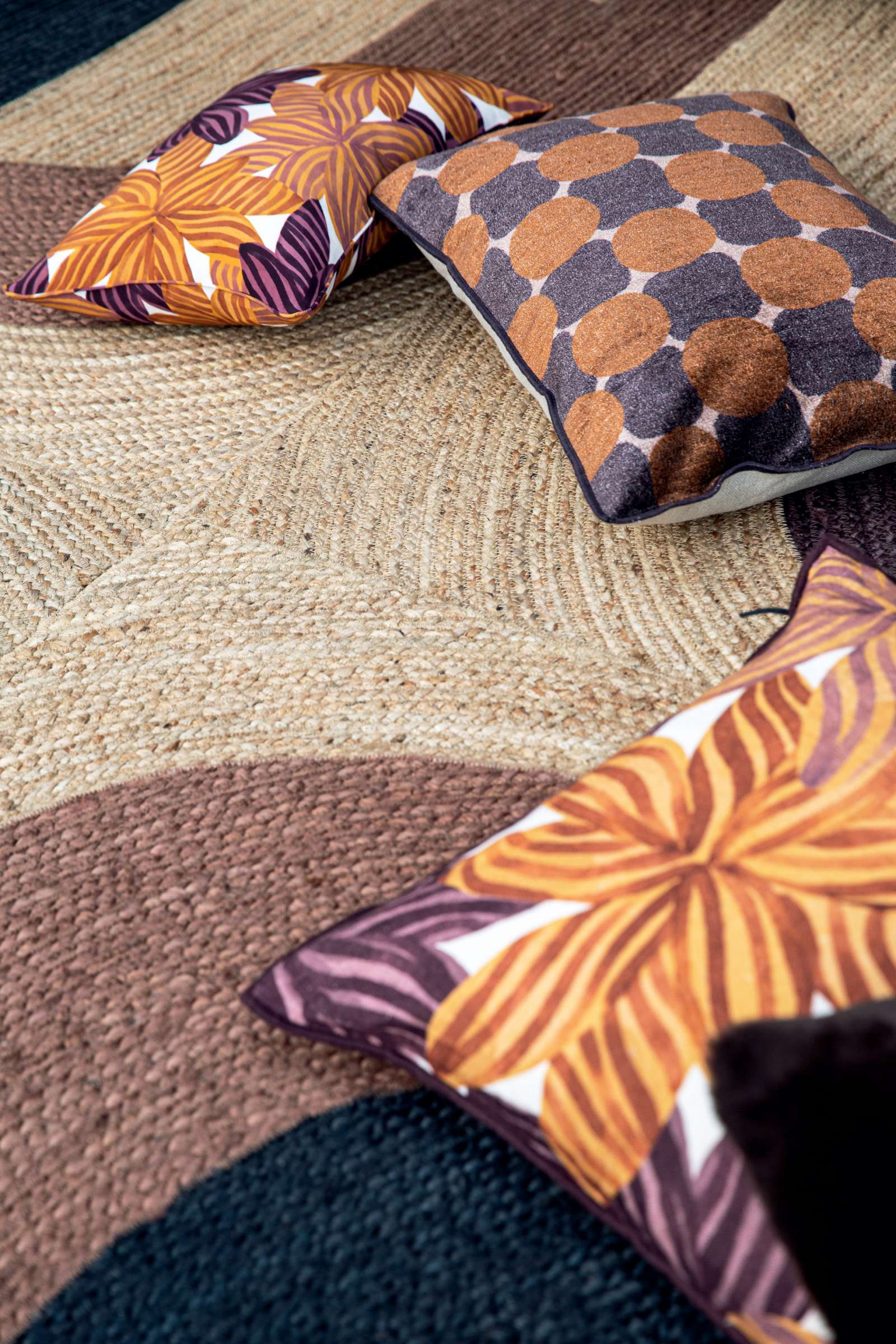 TROPICAL Cumin - Image_produit_4