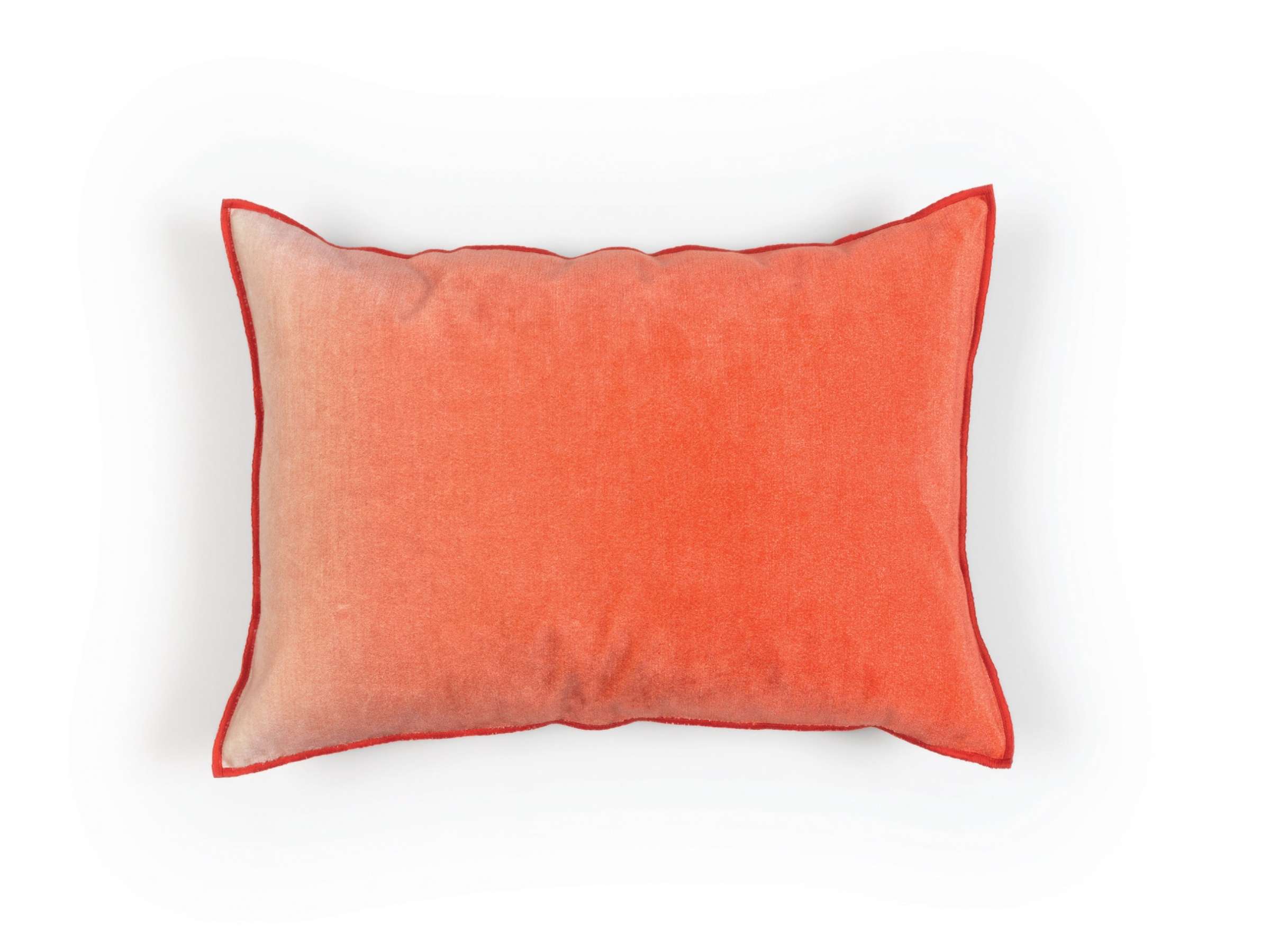 FORTUNE Hibiscus - Image_produit_0