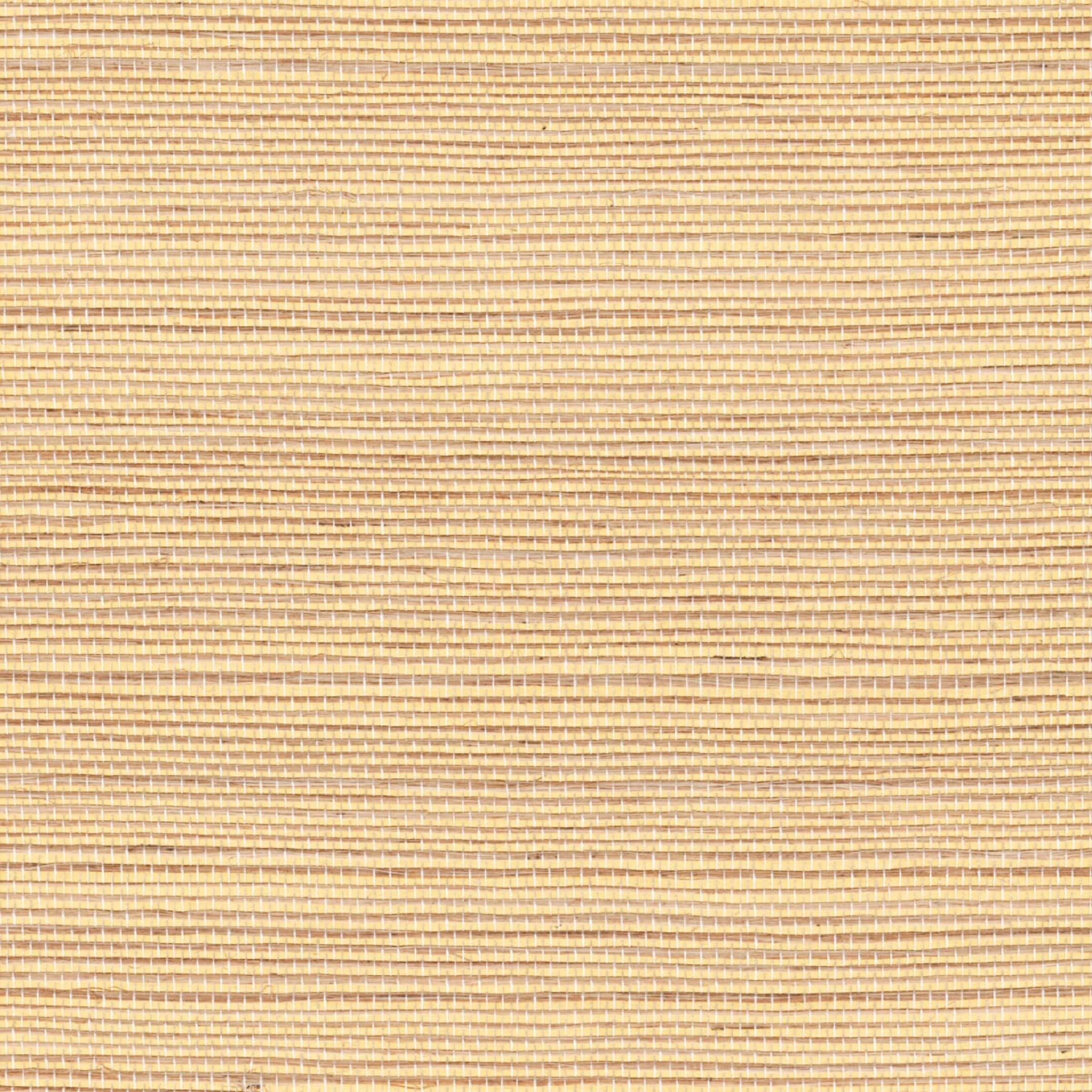 RM 1073 92 - Attirer la lumière