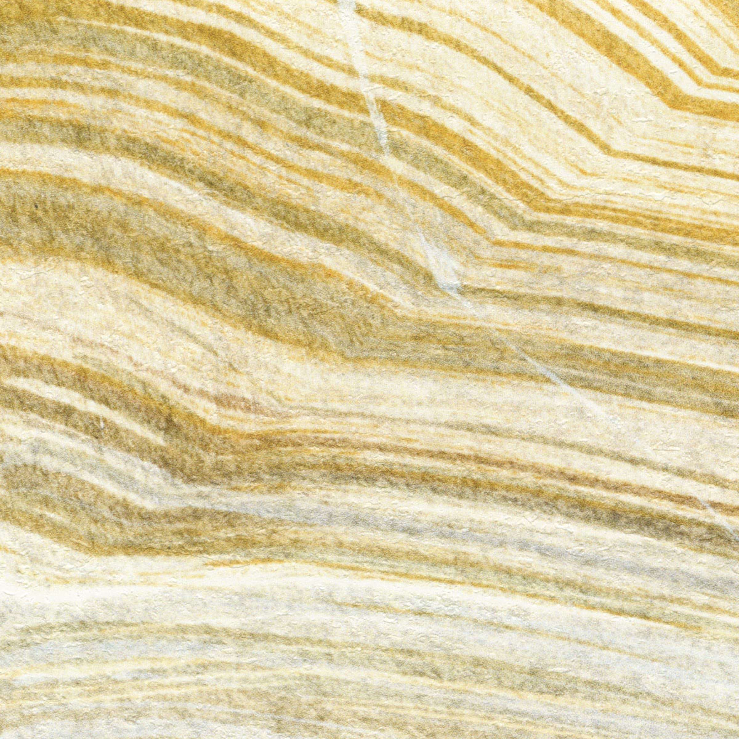 VP 1033 01 - Terres emmêlées