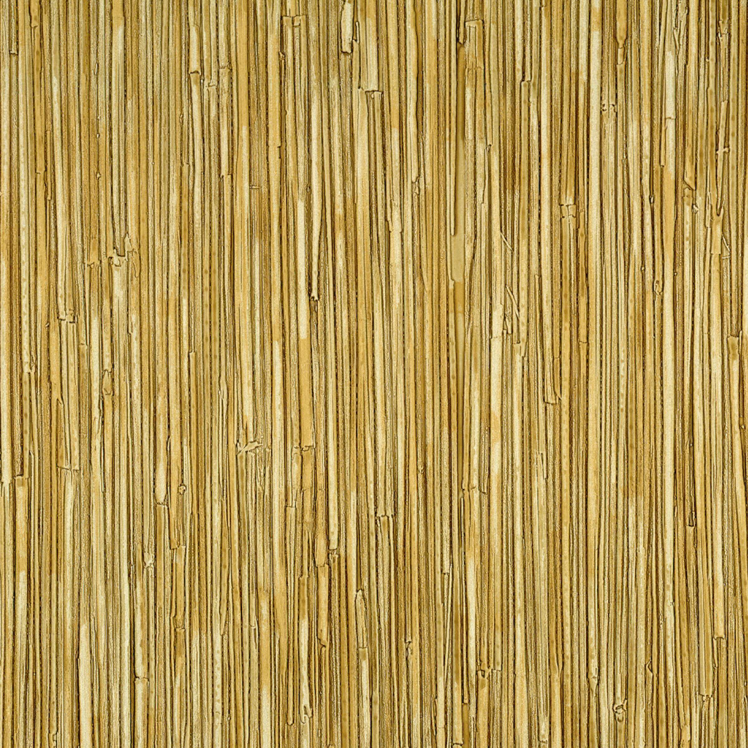 CV 117 06 - Un rayonnement éblouissant