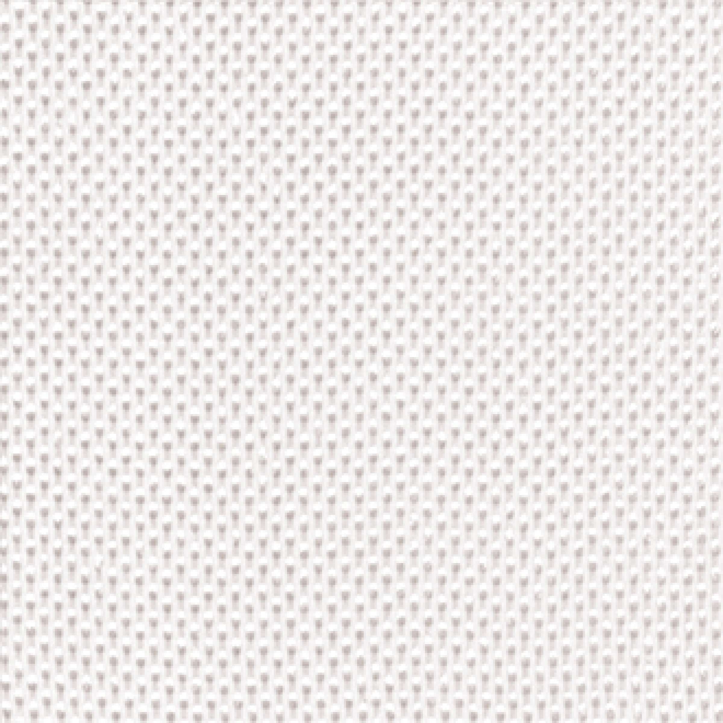 TV 577 01 - Glisser sur la banquise