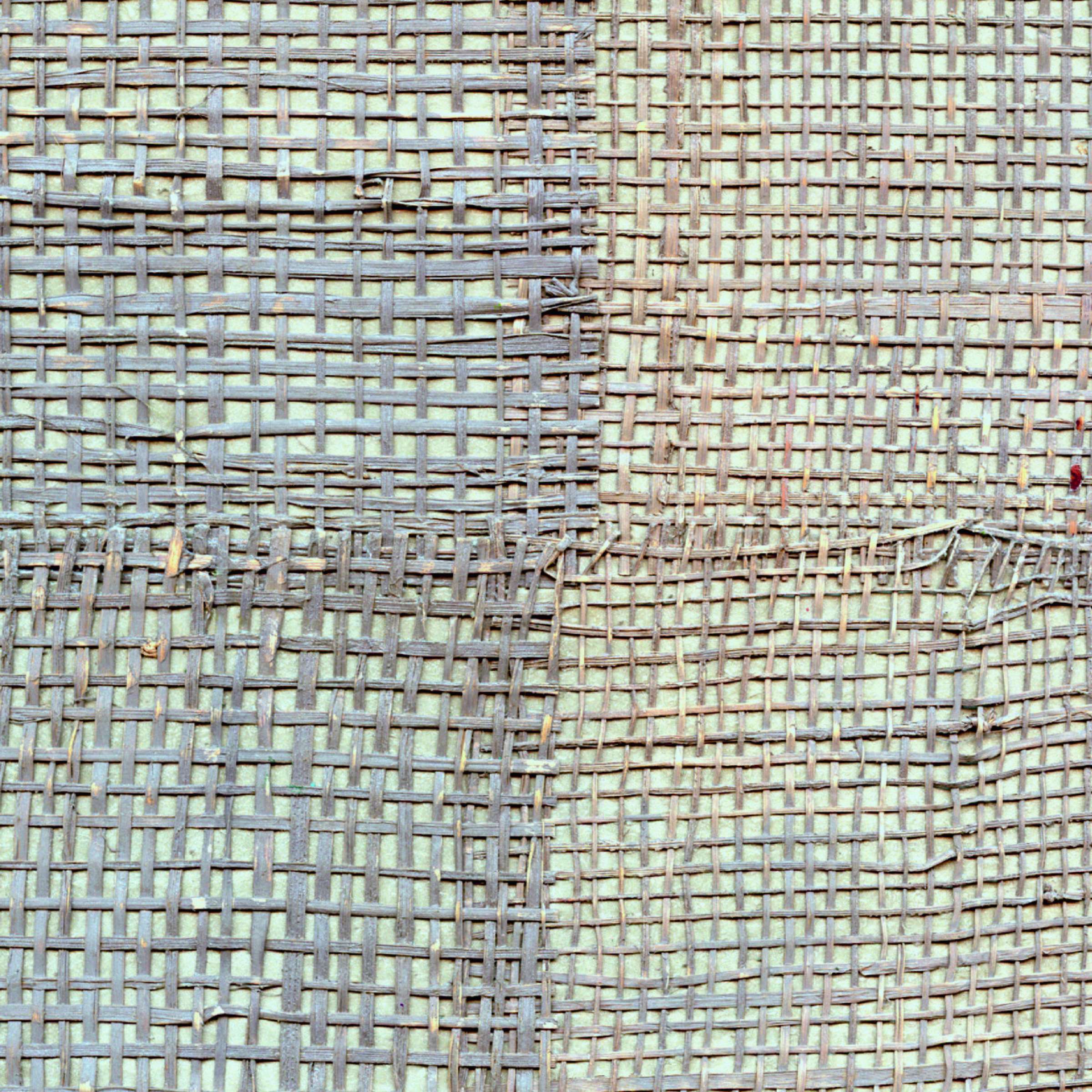 RM 666 12 - Sous les figuiers