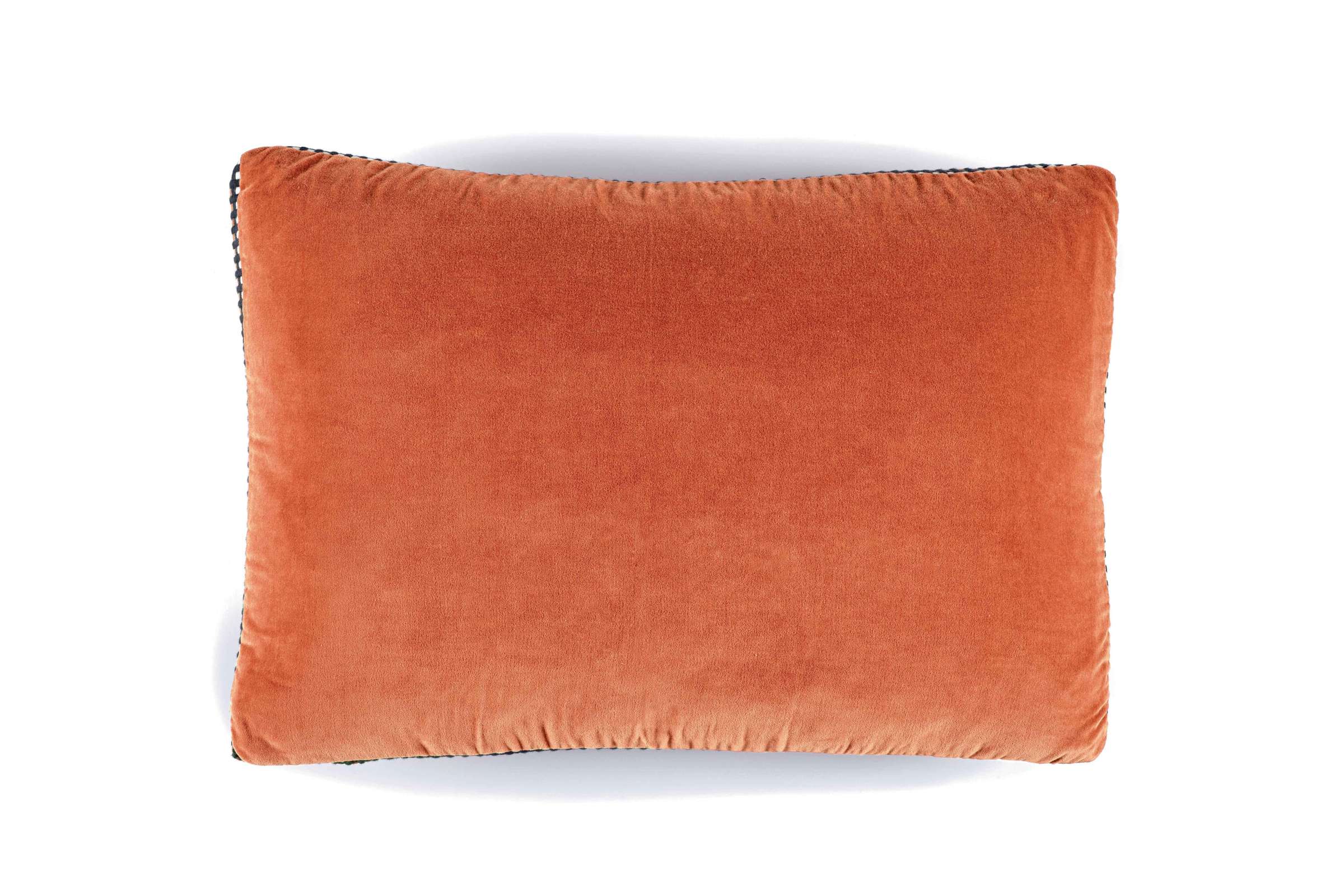 CO 226 36 03 - ATHENA Pumpkin 