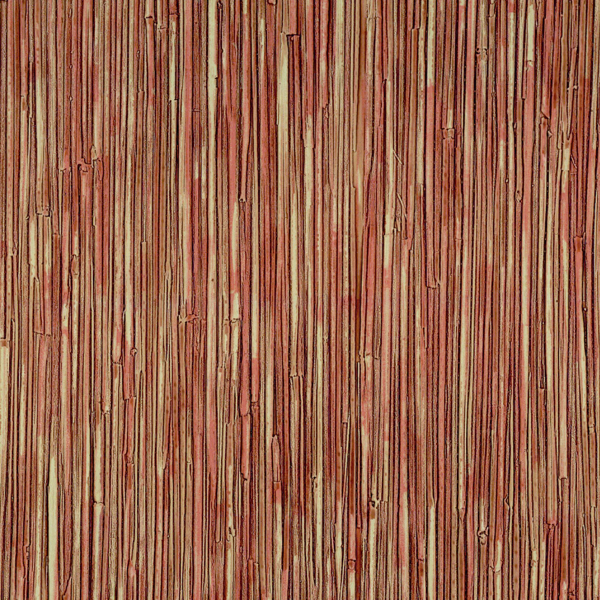 CV 117 11 - Le plein d'épices