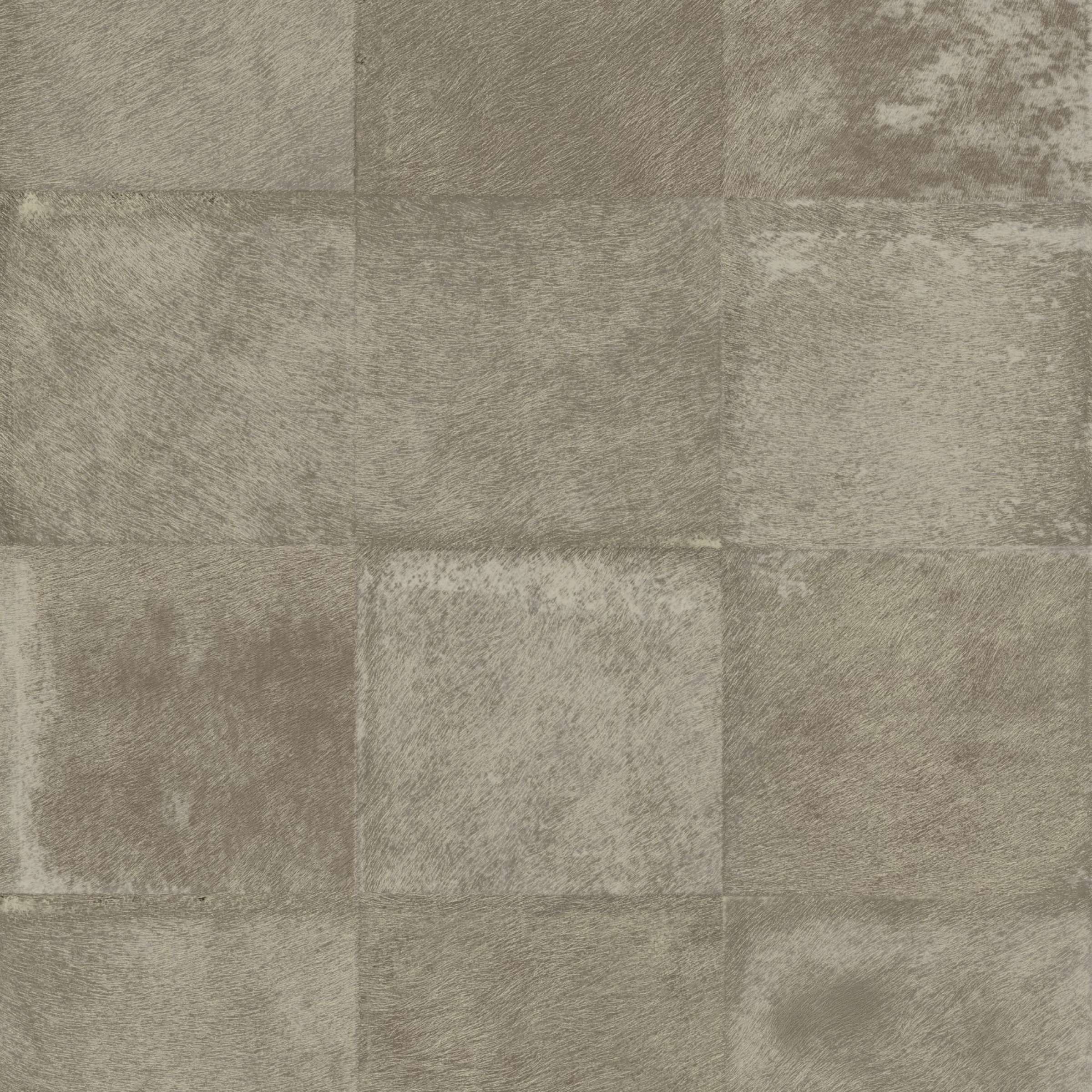 VP 656 07 - Reflets d'argent