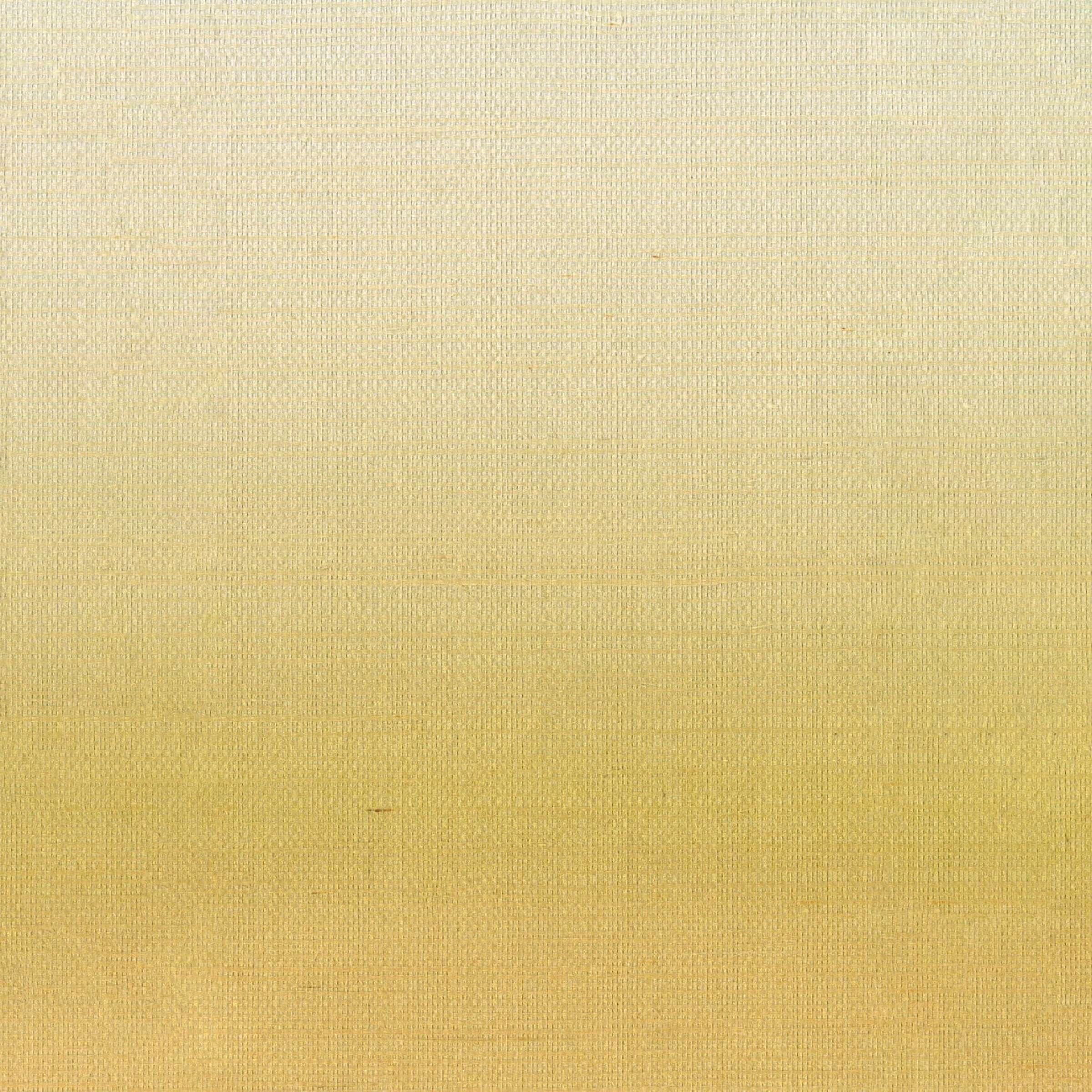 RM 1082 14 - Darder ses premiers rayons 