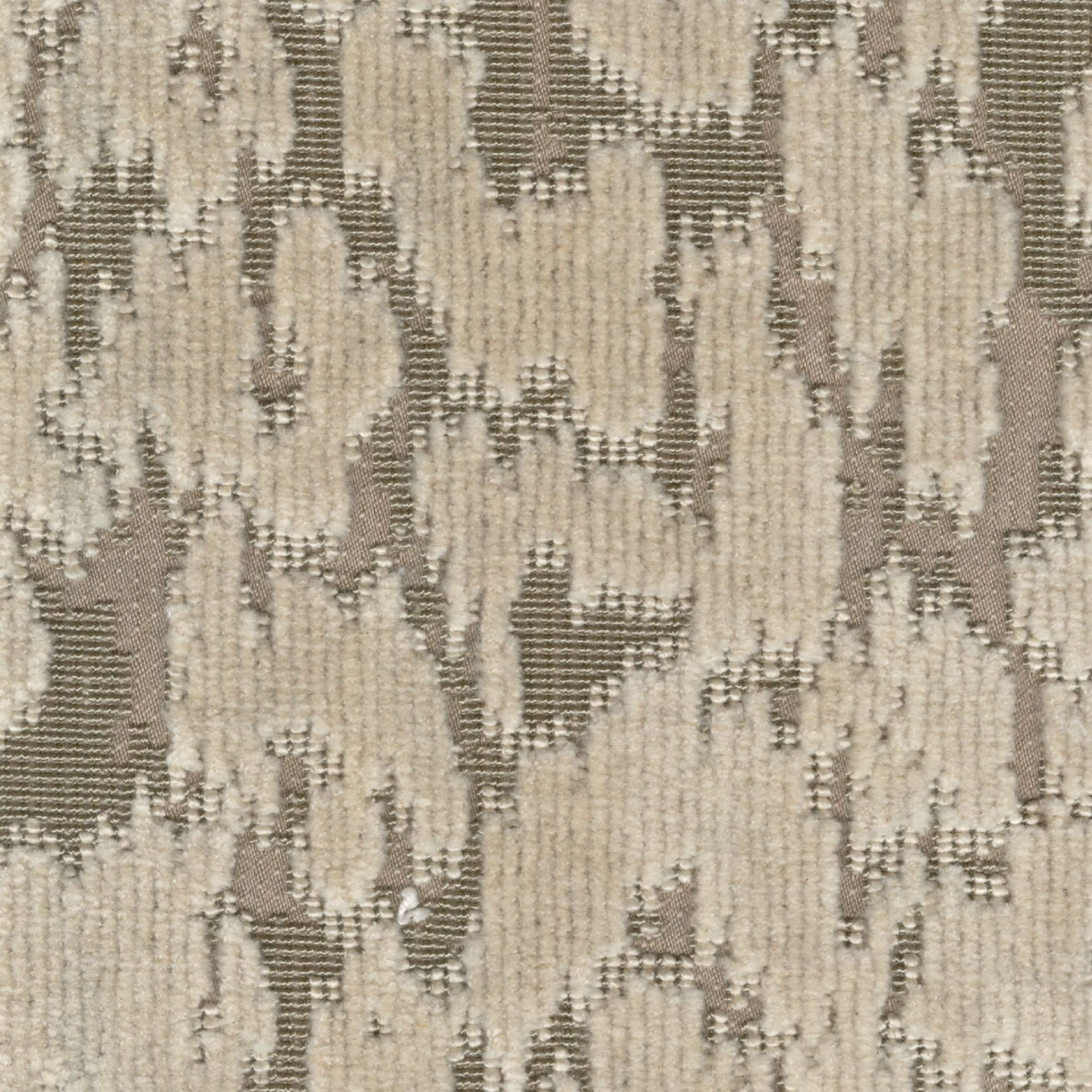 LB 981 02 - Étoile polaire