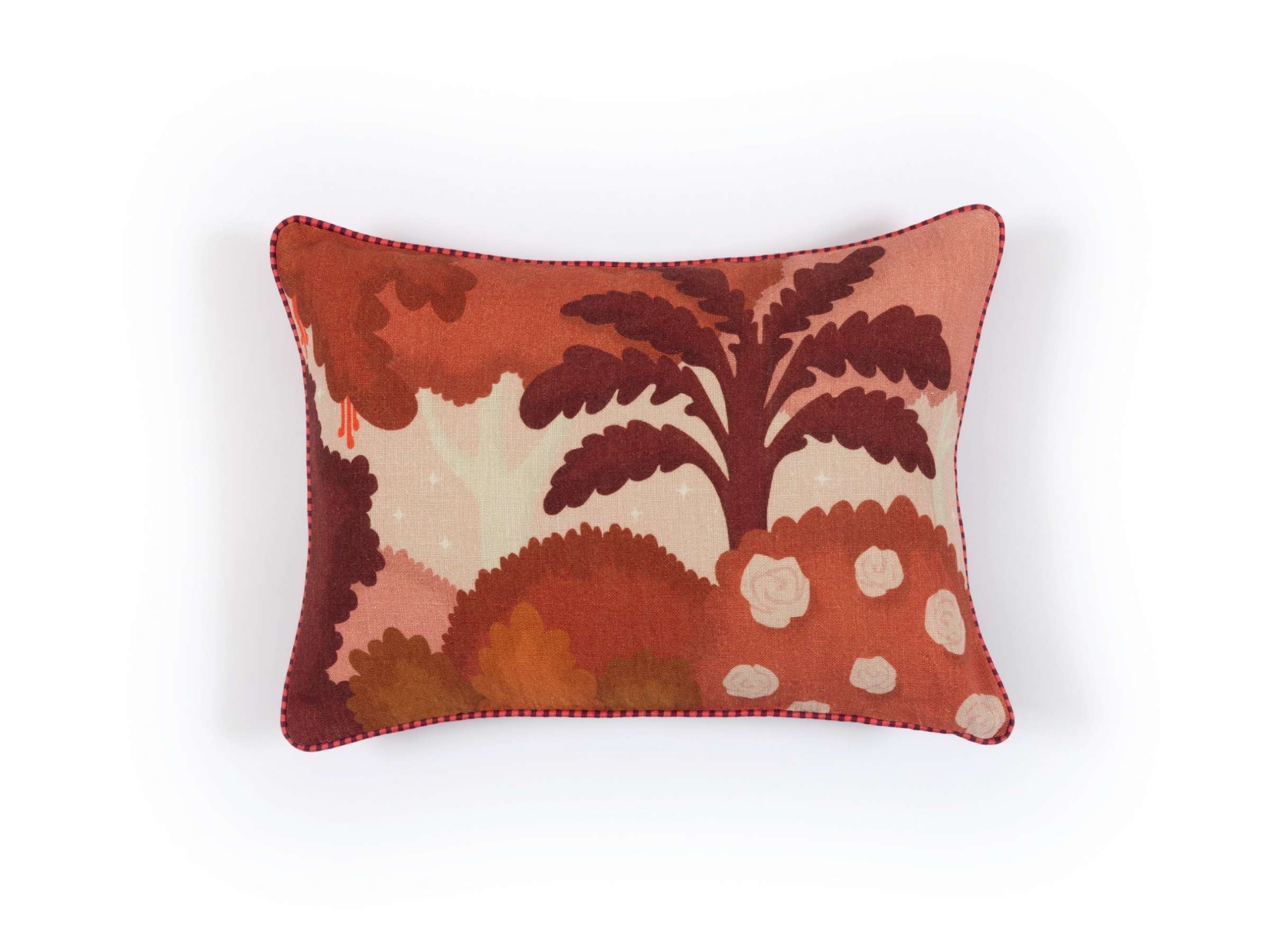 CO 258 34 02 - PAUL Hibiscus