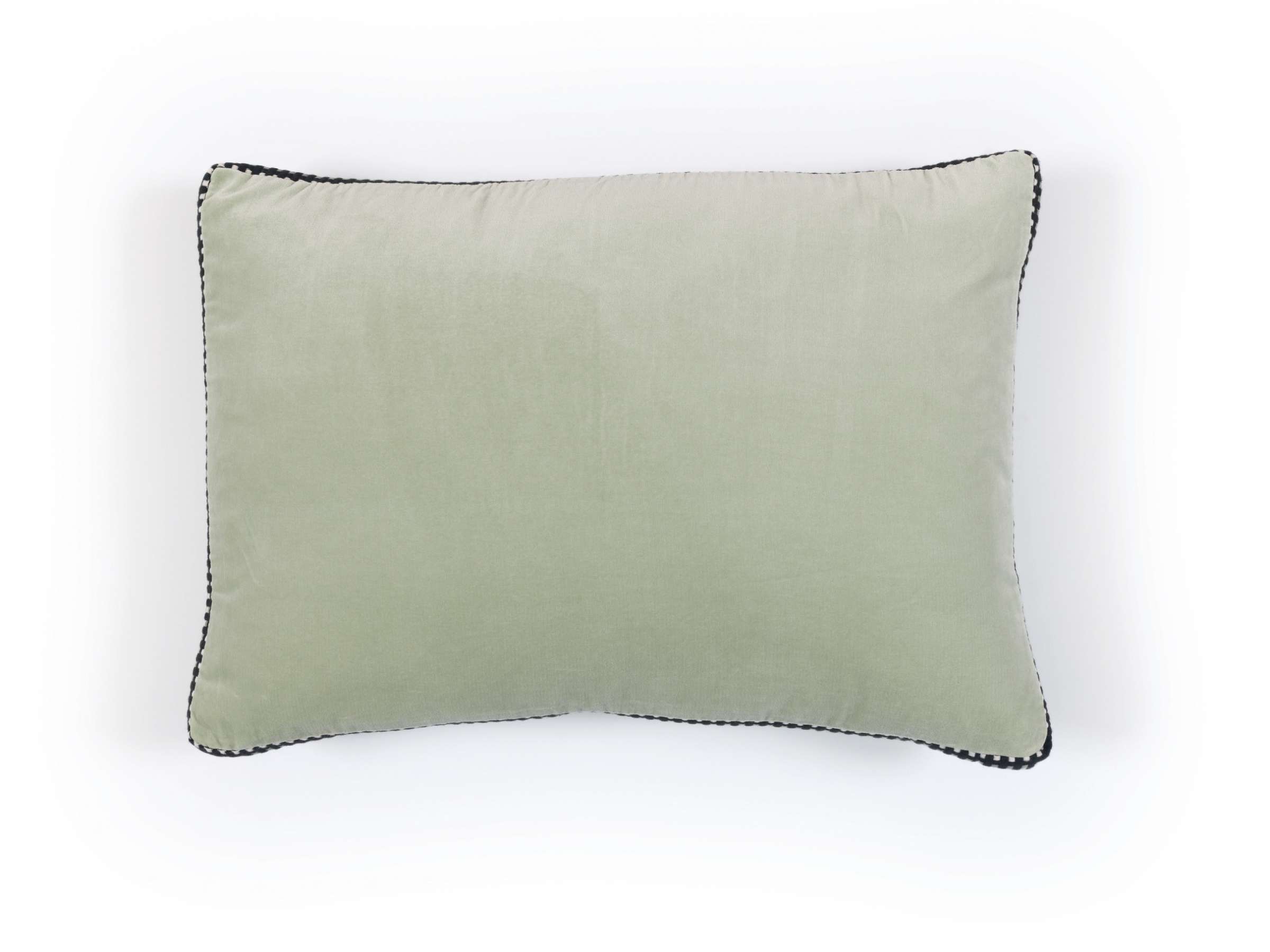 CO 226 61 03 - ATHENA Sauge