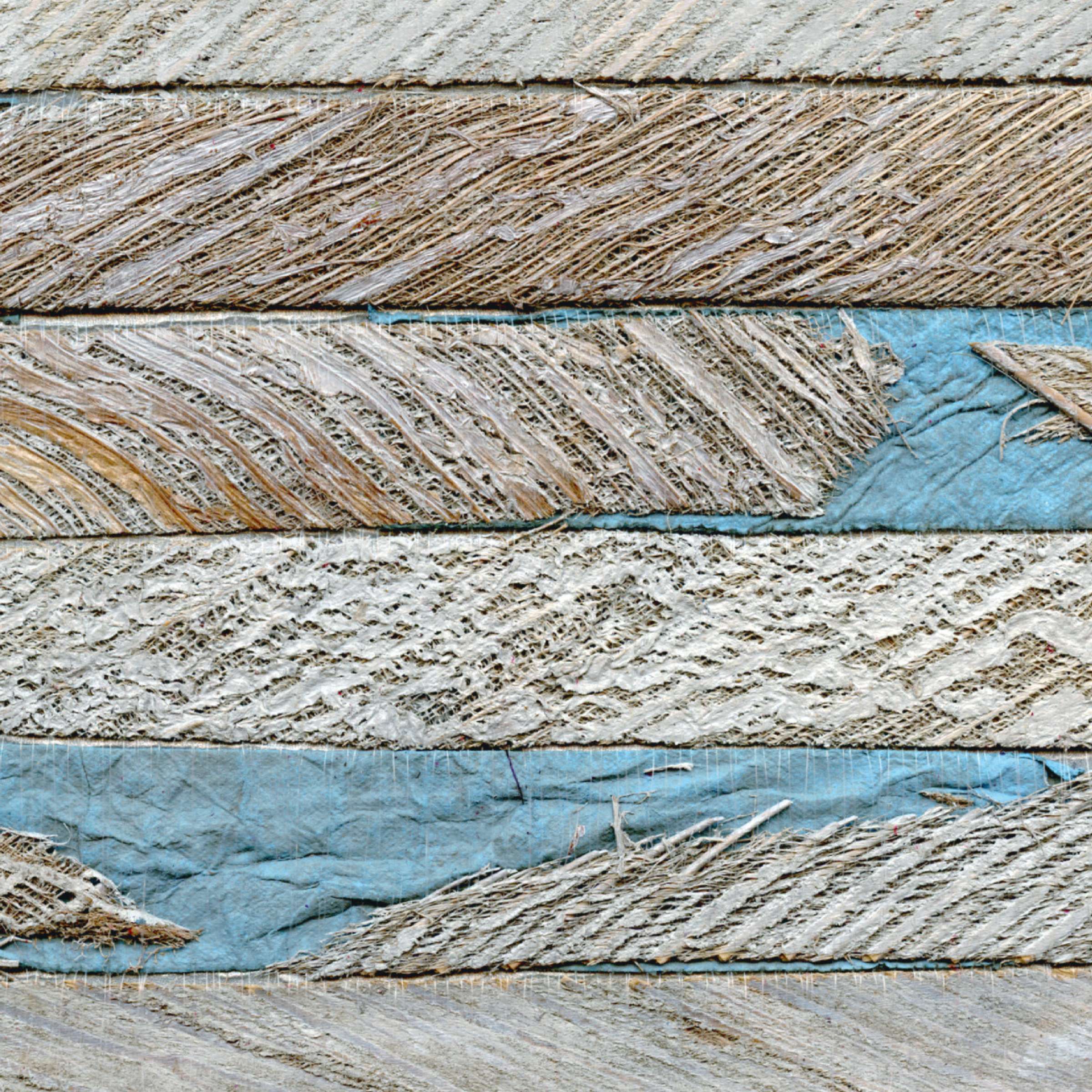 RM 674 03 - Harmonie végétale