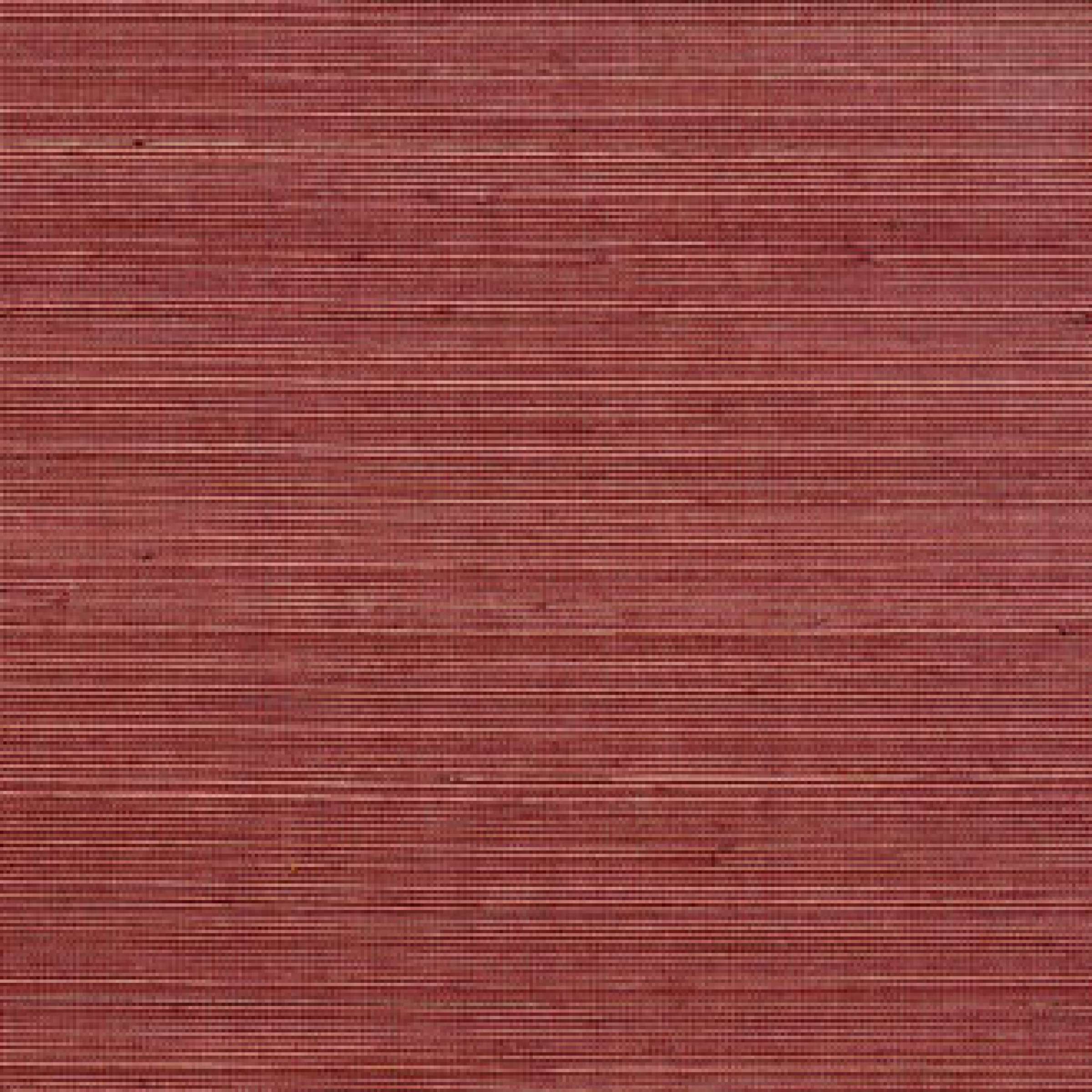 RM 110 31 - Sous le charme