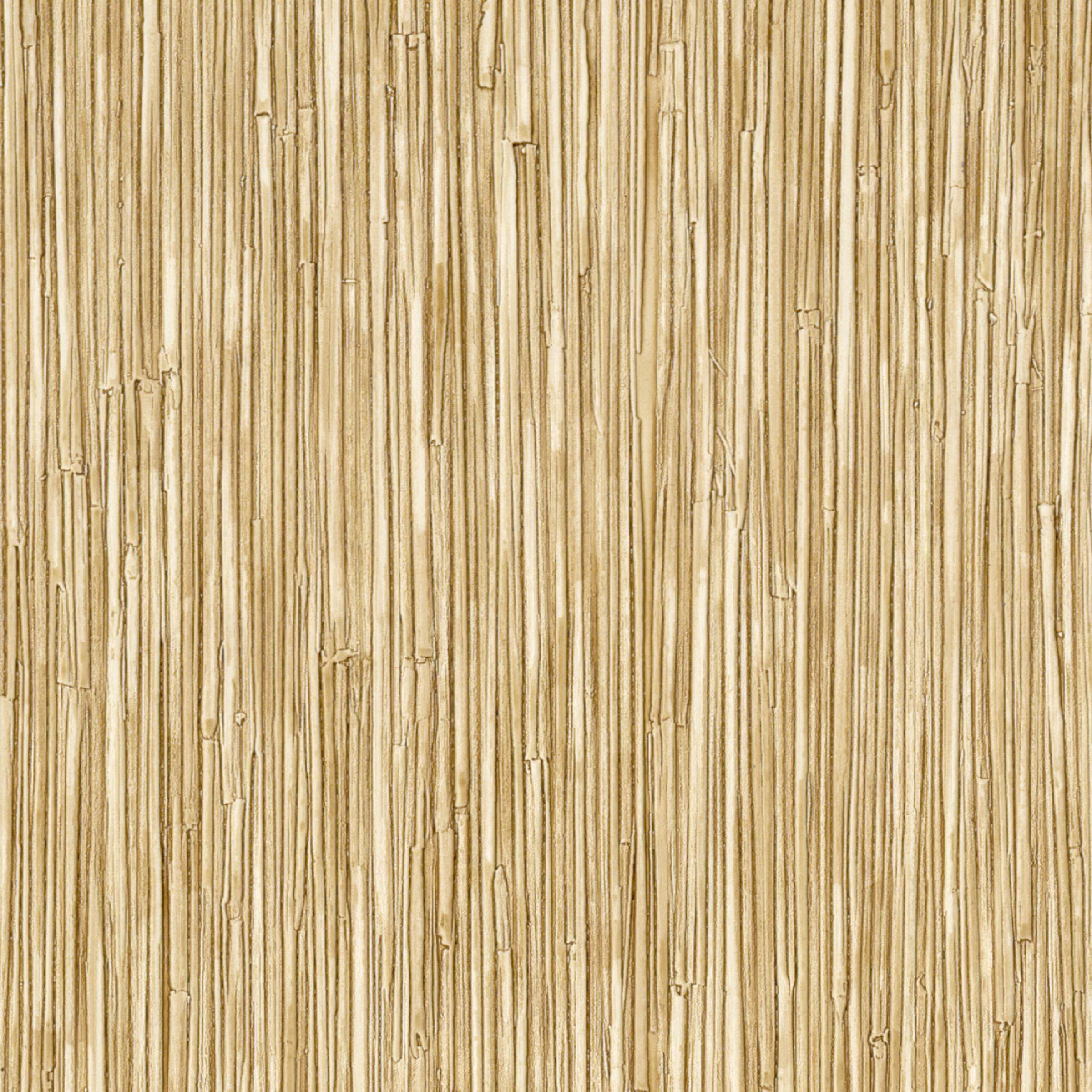 CV 117 04 - Une grâce éphémère