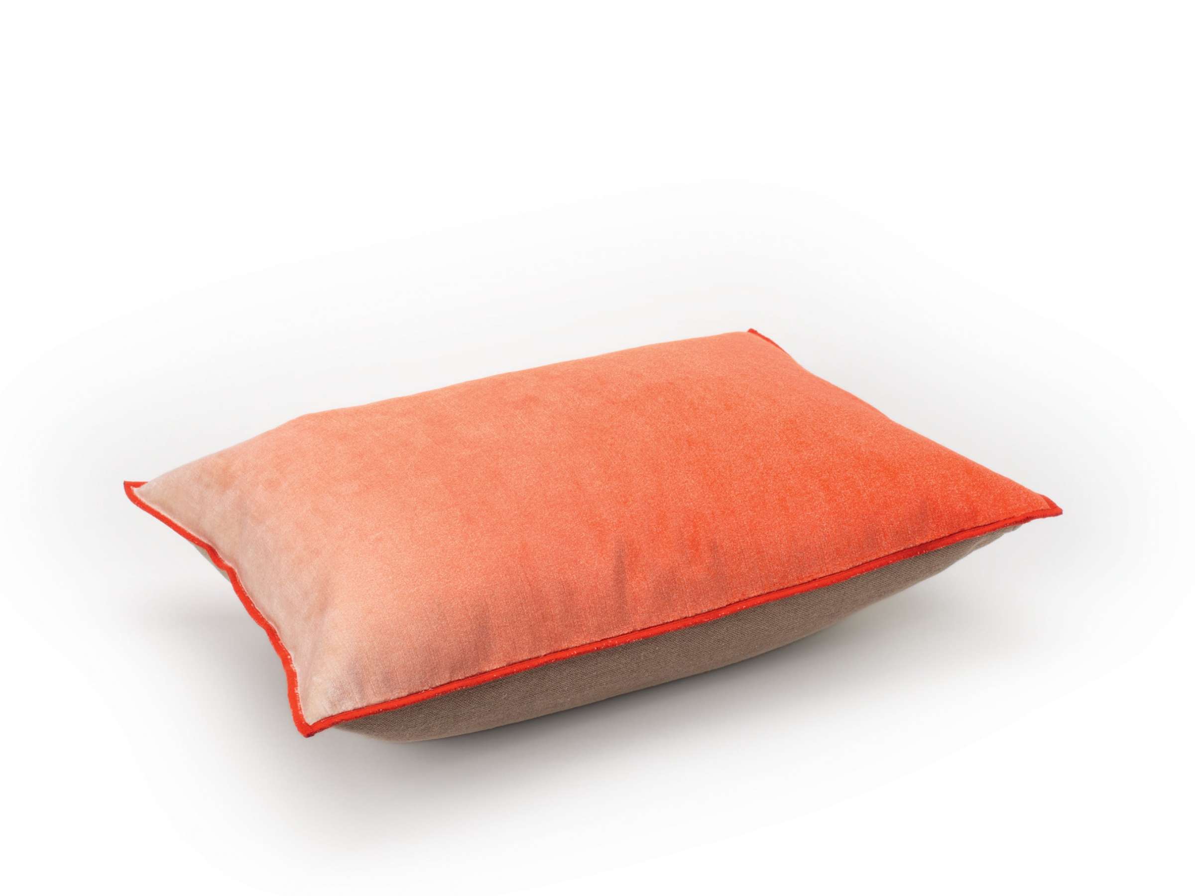 FORTUNE Hibiscus - Image_produit_1