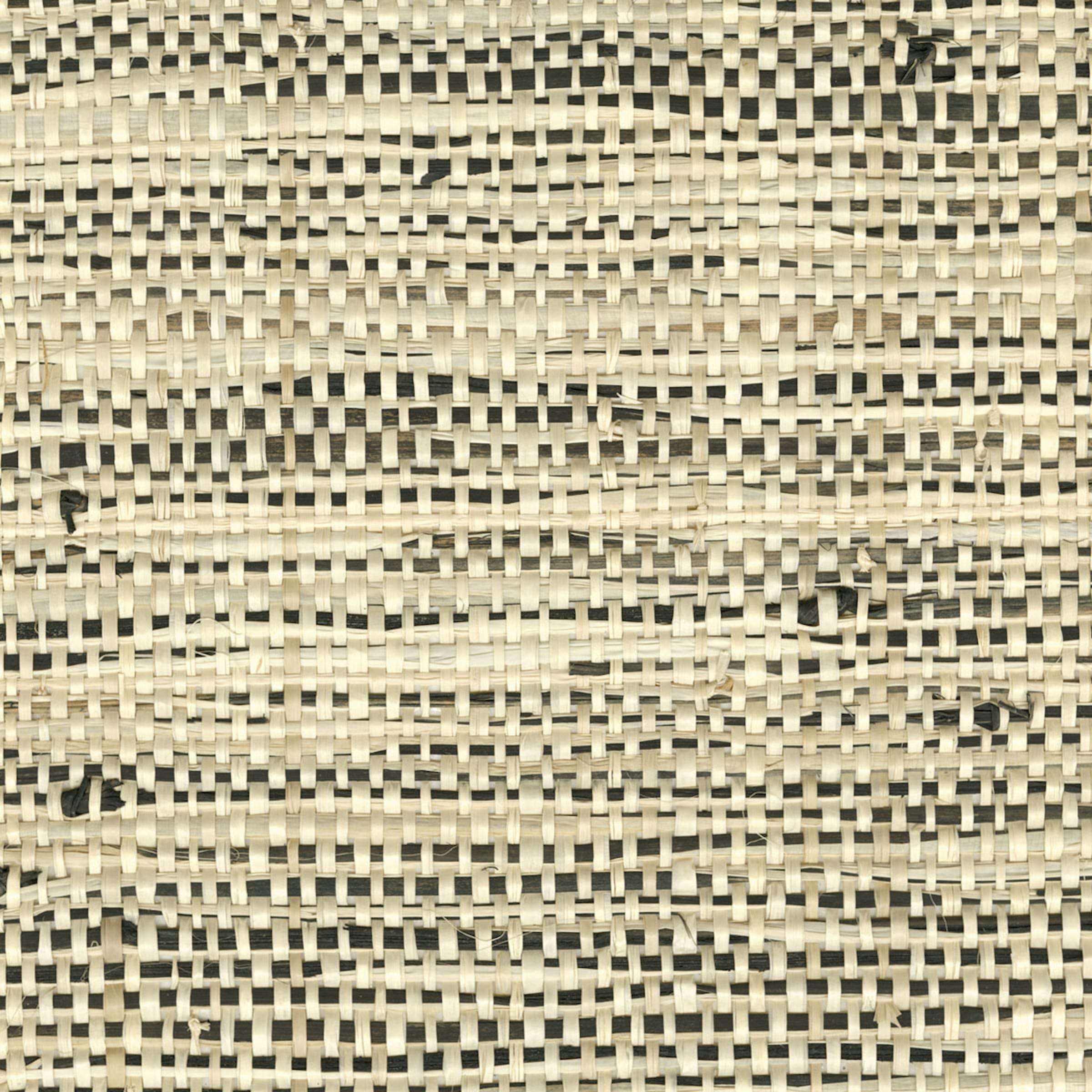 RM 1107 03 - Une élégance très naturelle