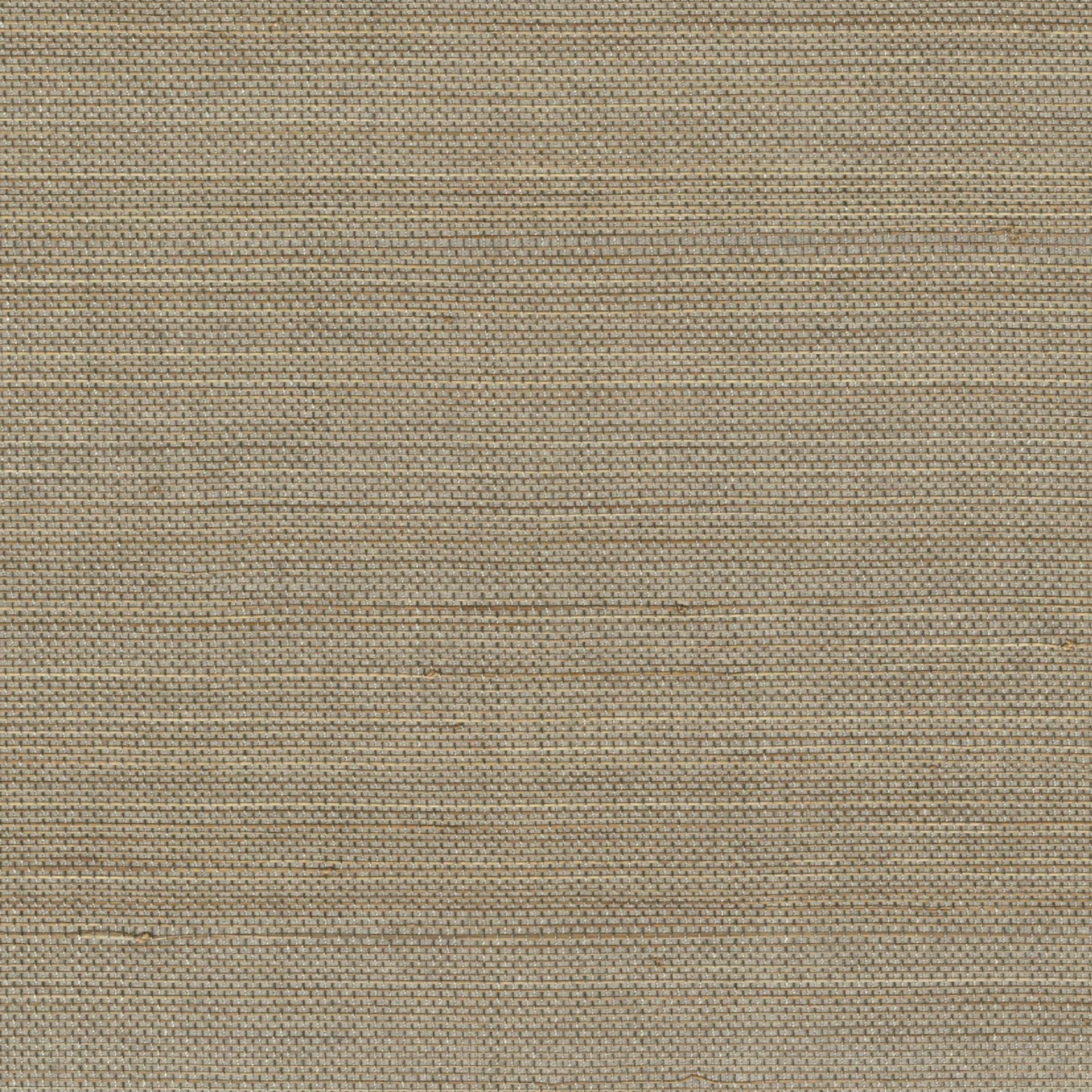 RM 1071 05 - Apporter la lumière