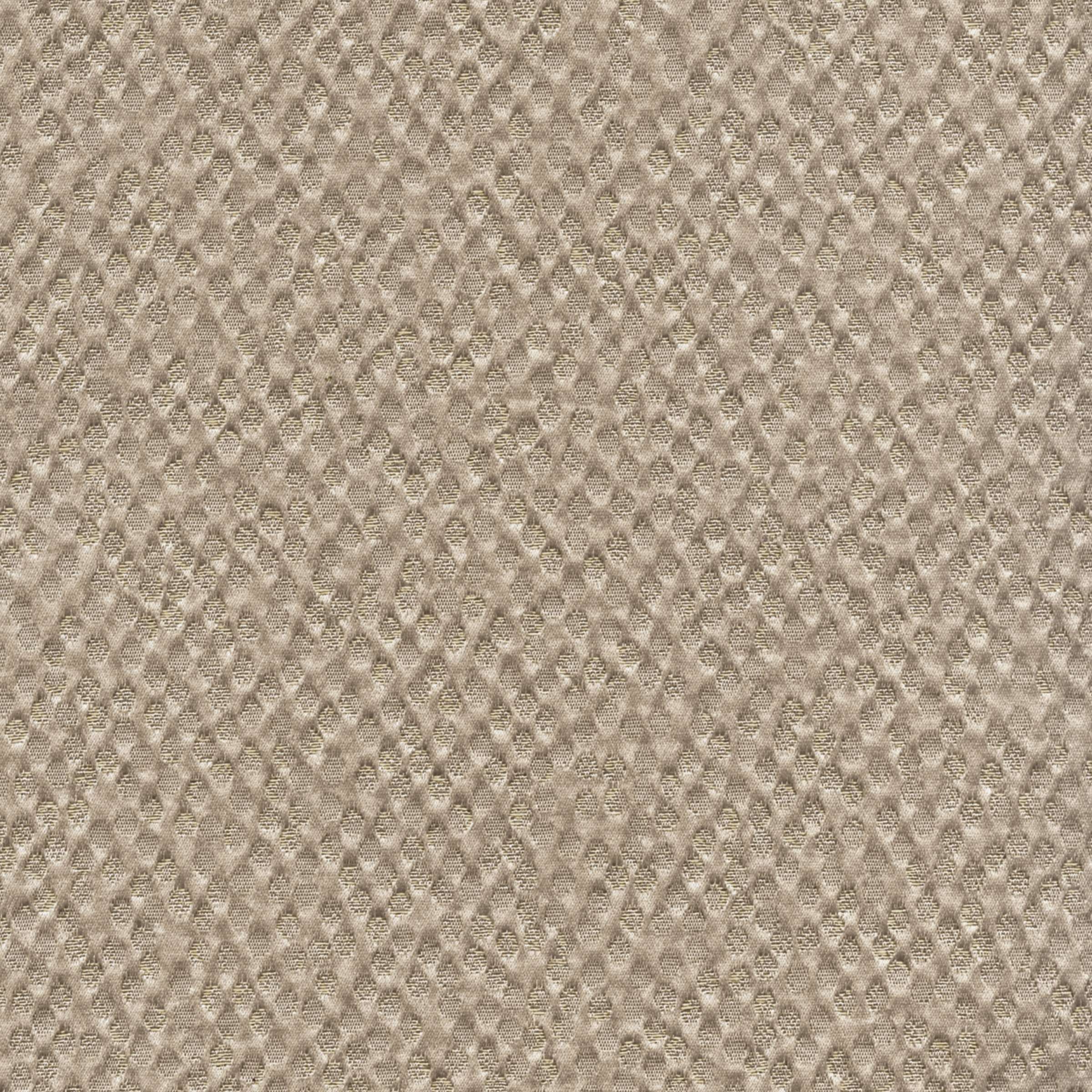 TV 561 05 - Un destin exceptionnel