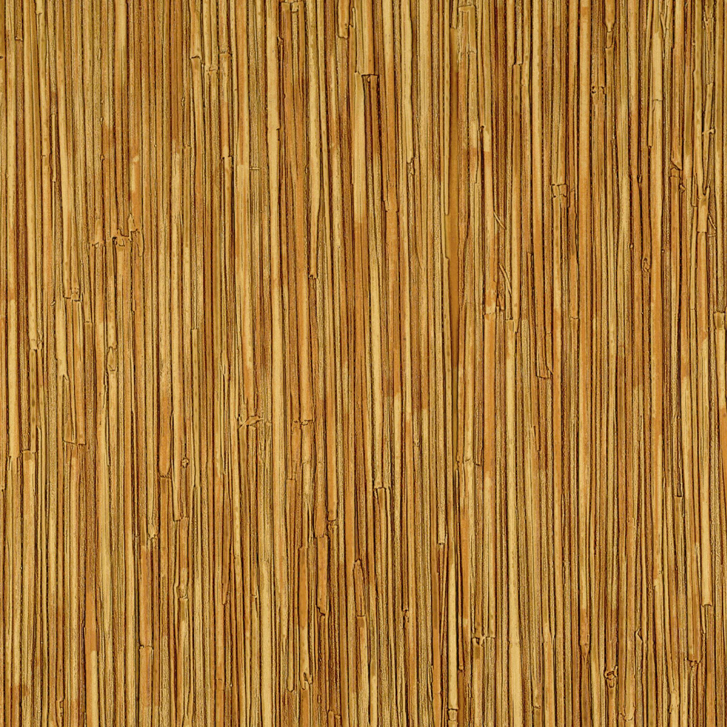 CV 117 07 - Le reflet de ses passions