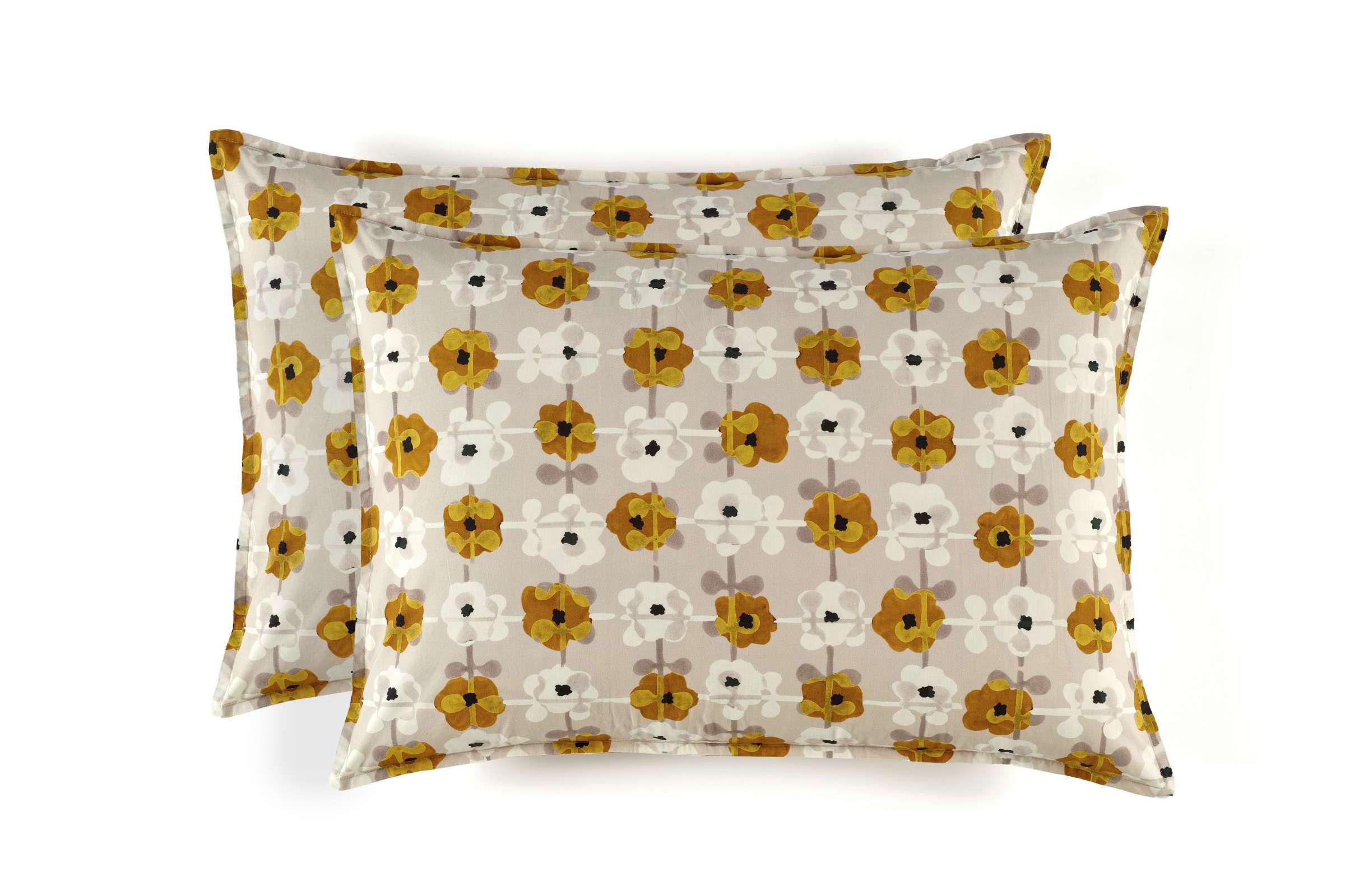 OR 101 25 02 - DAISY Sunny