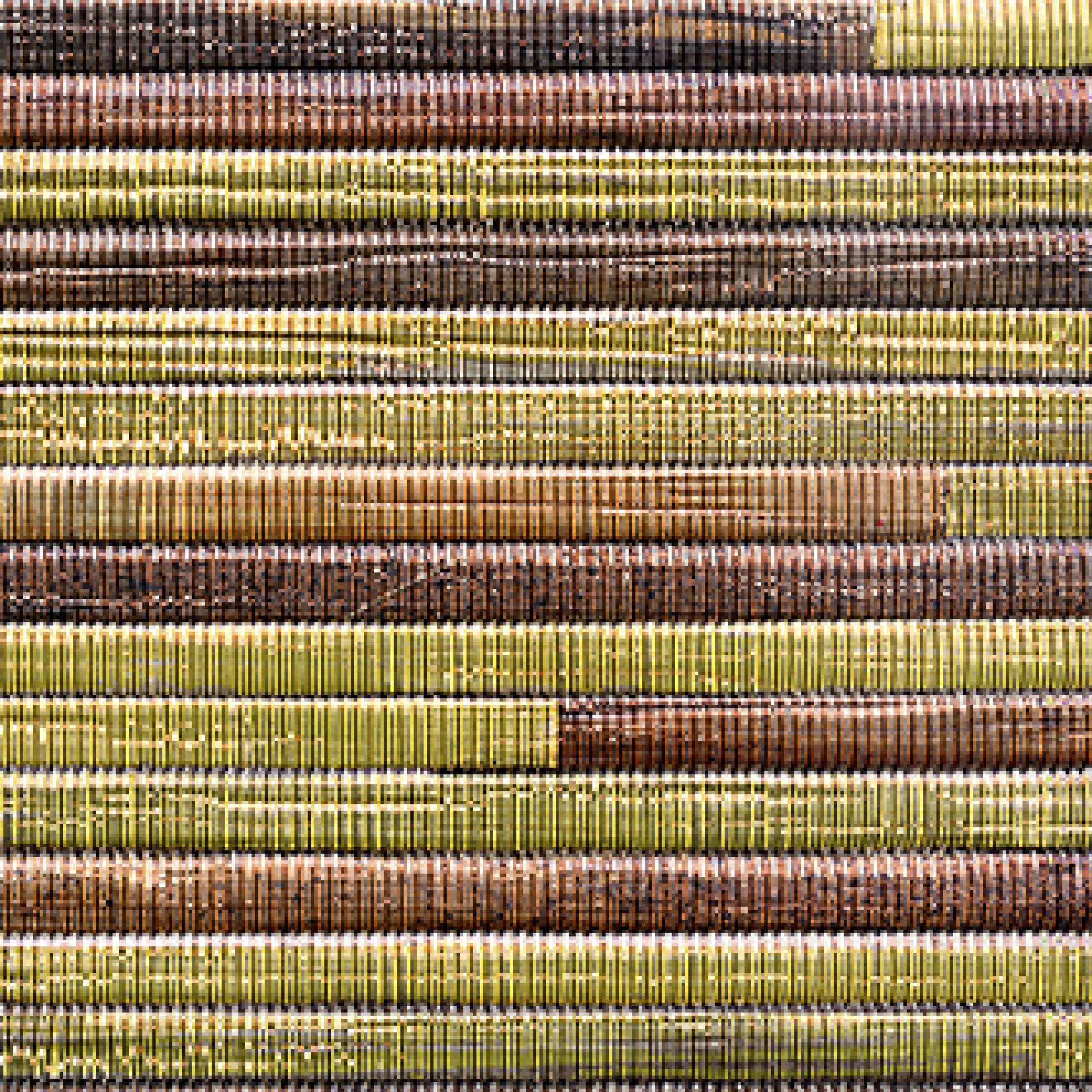 RM 661 25 - Objet de convoitise