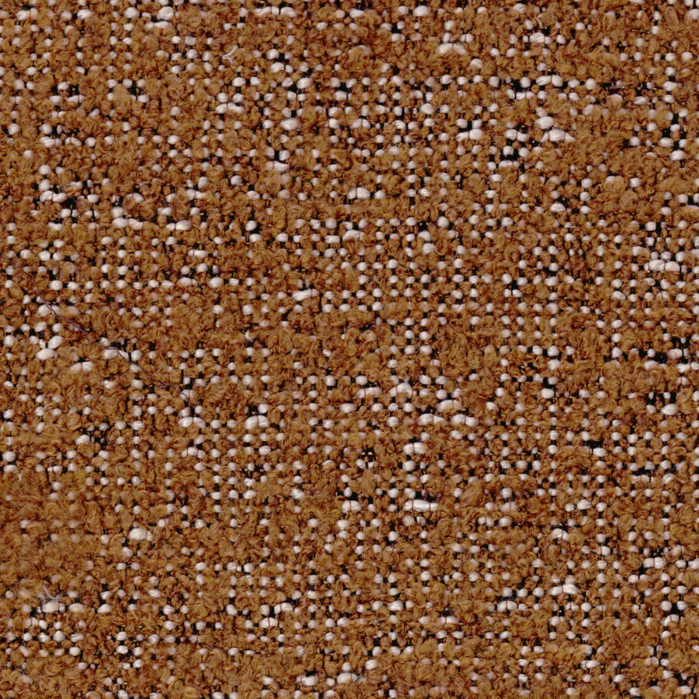 LR 351 79 - Lueurs cuivrées