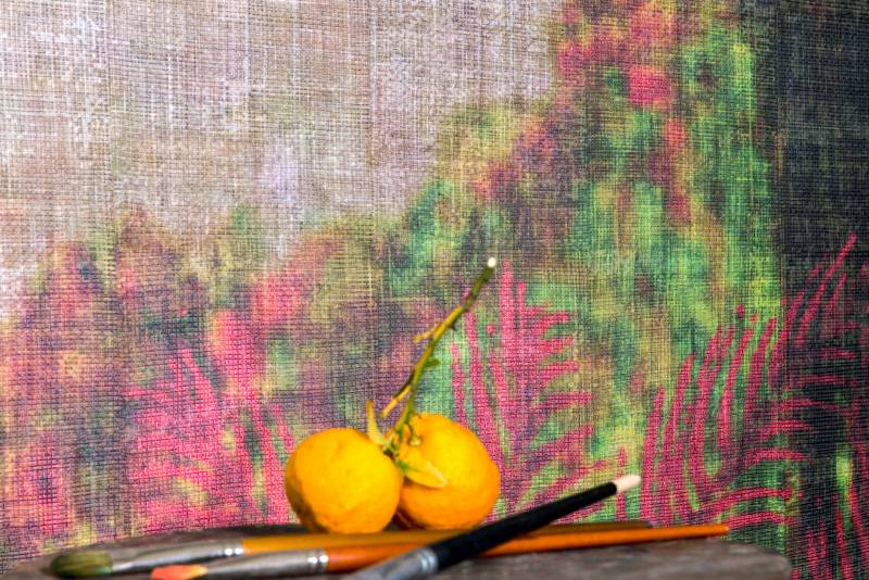 DM 601 01 - Jungle fever