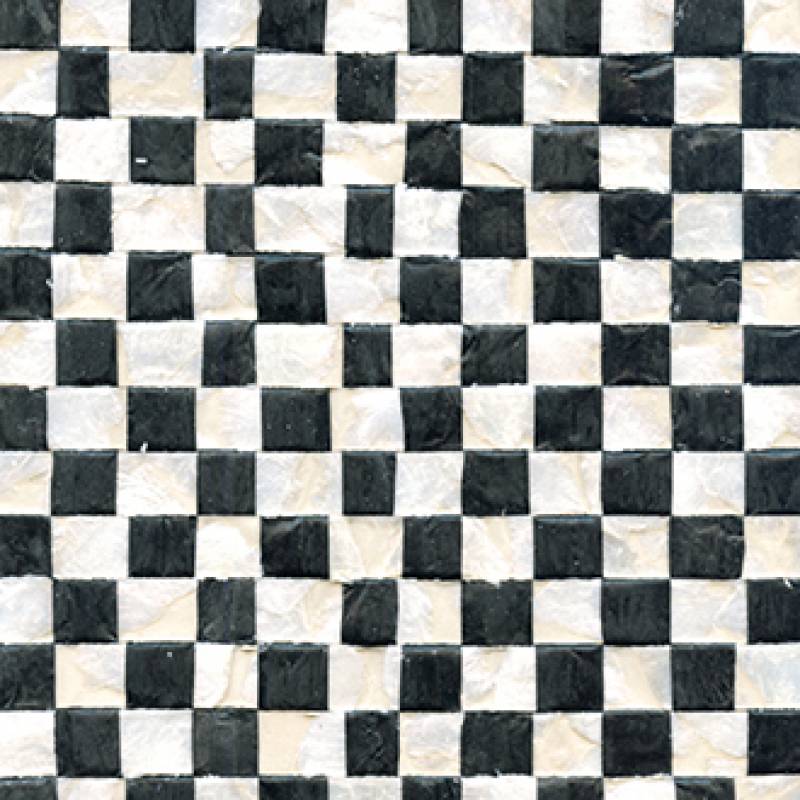 RM 675 80 - Attraction magnétique