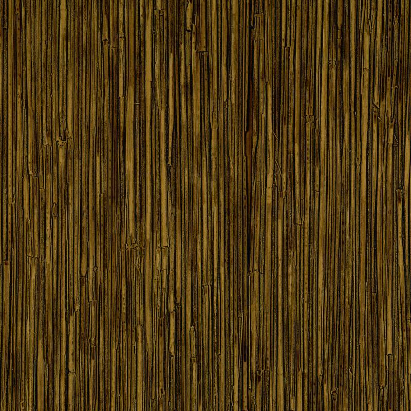 CV 117 08 - Une présence envahissante