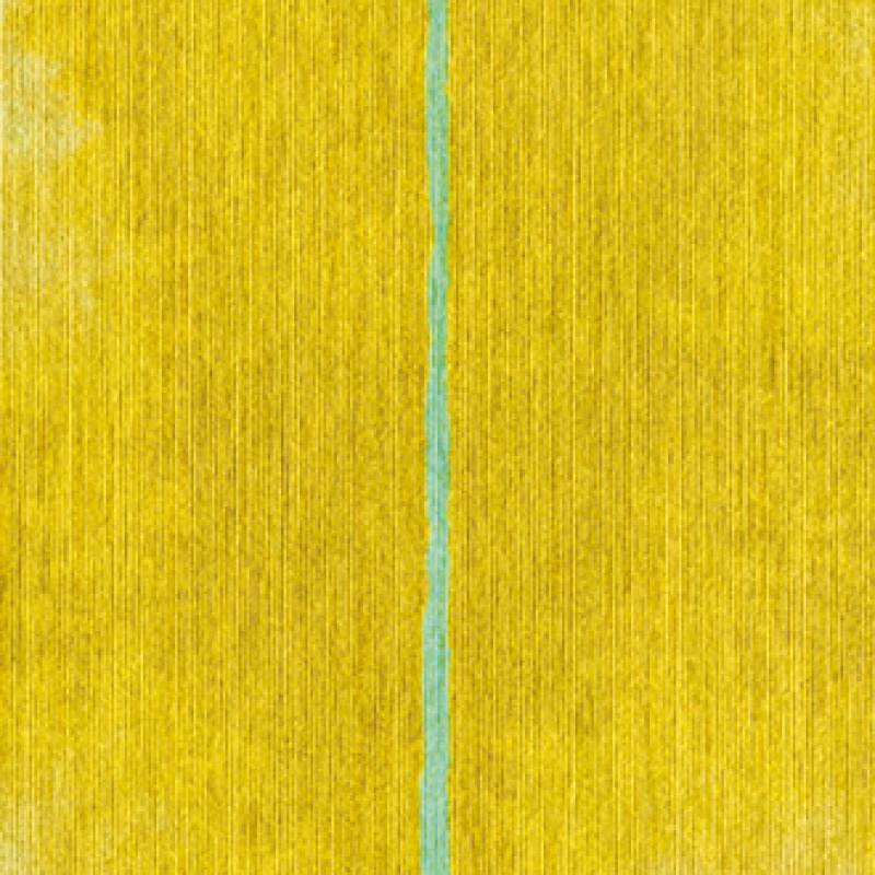 RM 800 21 - Une éternelle jeunesse