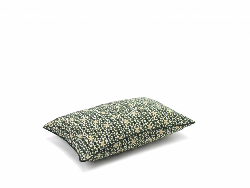 CO 248 65 04 - AZTECA Figuier