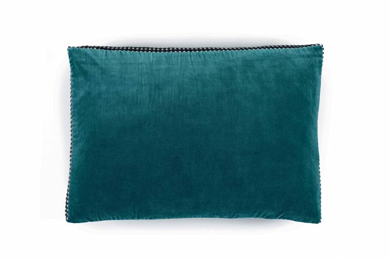 CO 226 42 03 - ATHENA Canard 