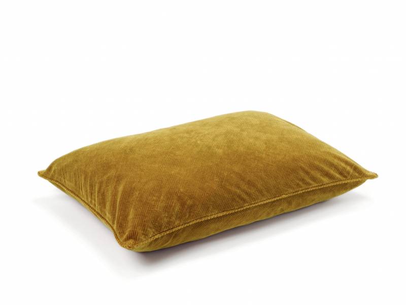 CO 243 25 03 - ITHAQUE Big Doré