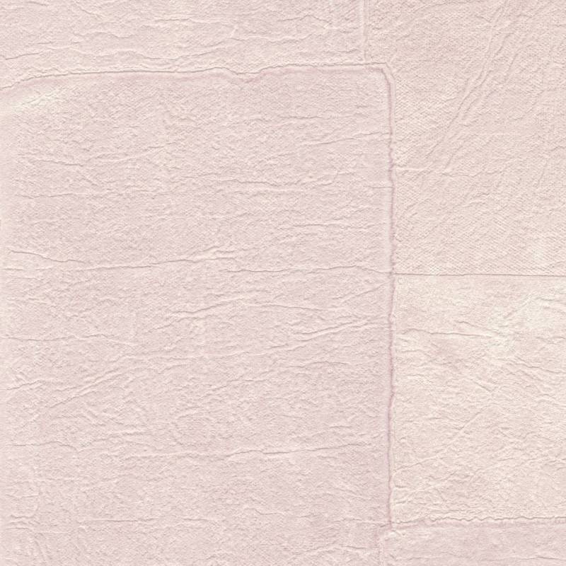 VP 1018 50 - Un voile de brume 