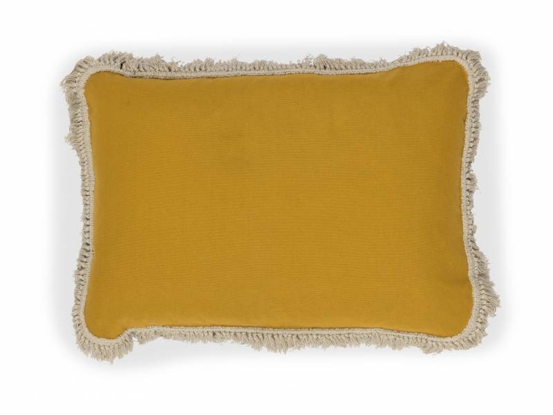 CO 250 25 03 - HONORE BIG Cumin et Lin