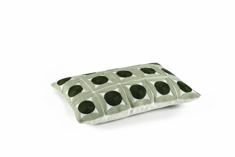 CO 227 65 04 - SAMSARA Lichen