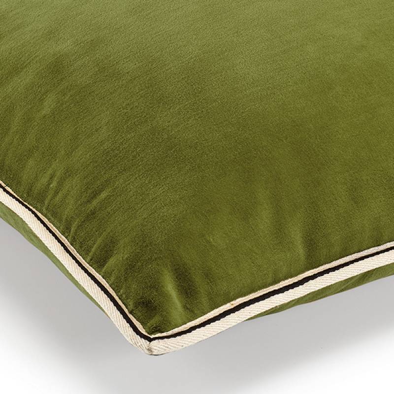 CO 178 64 02 - ARISTOTE Lichen