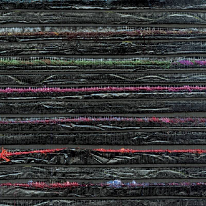 RM 679 80 - Fidèle comme une ombre