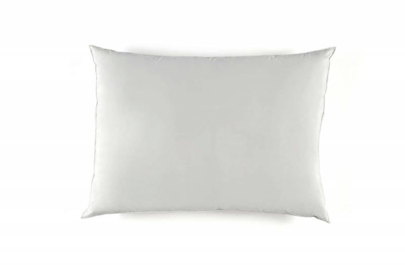 OR IN 50X70 - OREILLER MICROFIBRE