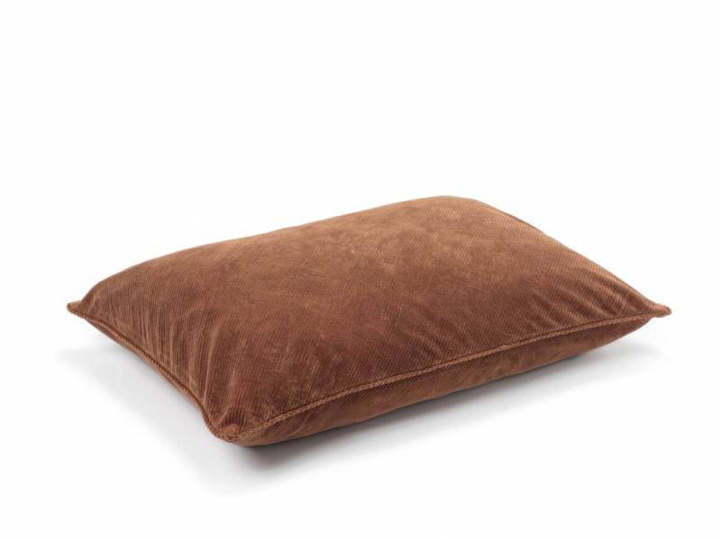 CO 243 71 03 - ITHAQUE Big Pain brûlé