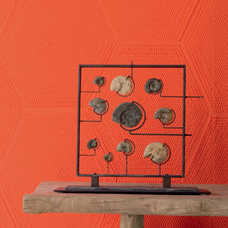 RM 866 35 - Emulation féconde