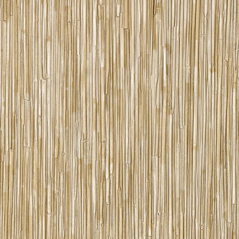 CV 117 05 - Une source de vie