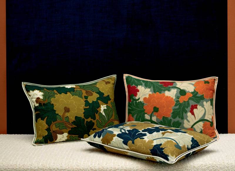 CO 253 37 02 - JANE Capucine