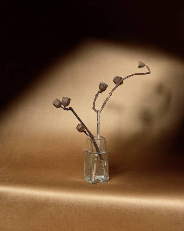 RM 1087 01 - Sa richesse intérieure