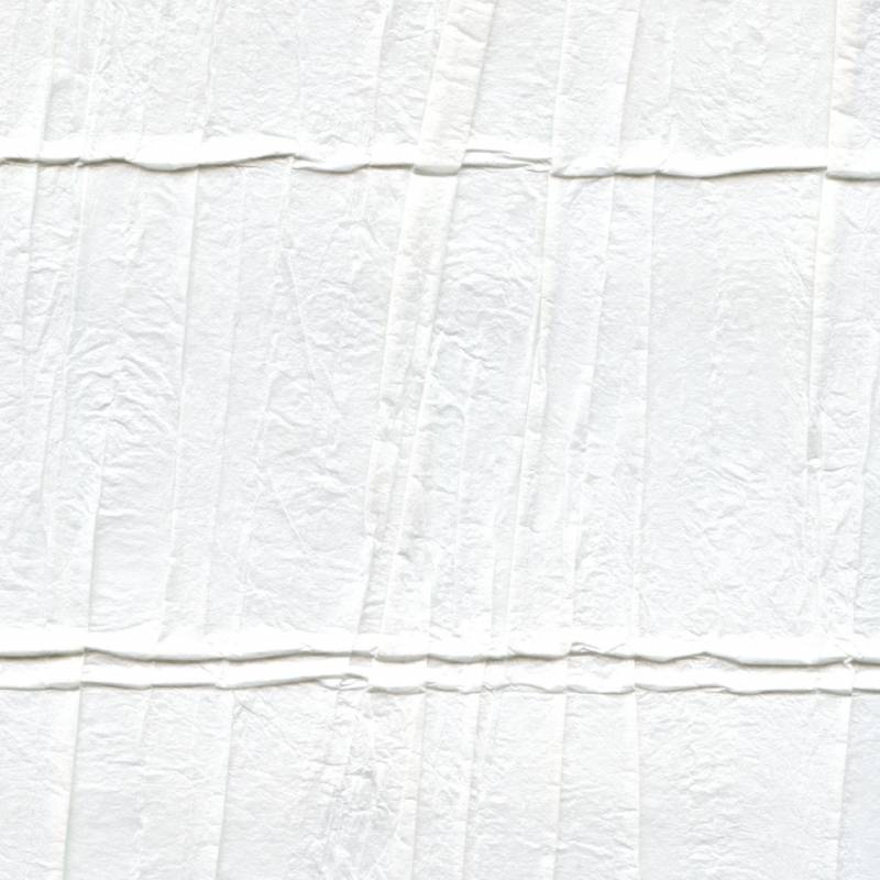 RM 220 02 - Une main de fée