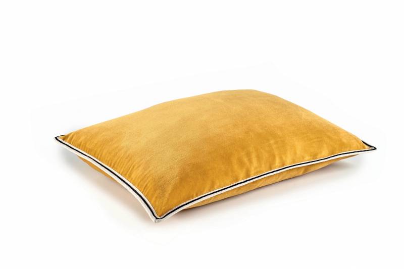 CO 178 22 02 - ARISTOTE Bouton d'or